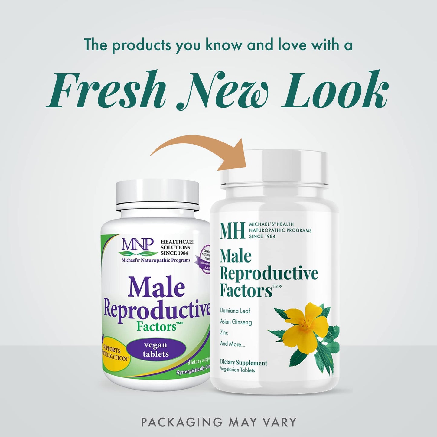 Michael's Health Naturopathic Programs Male Reproductive Factors 60 Tablets