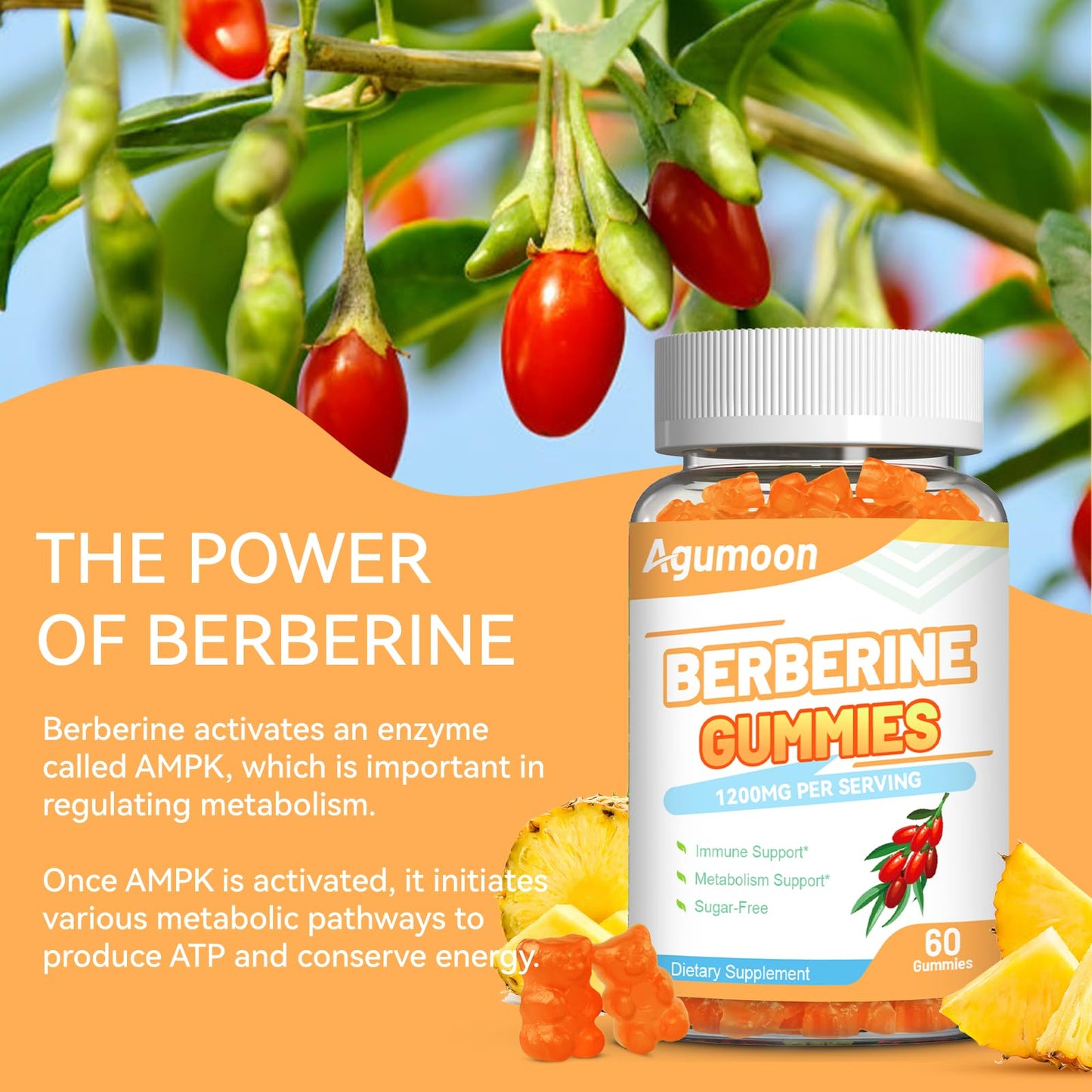 Agumoon Berberine Gummies 1200mg with Ceylon Cinnamon for Immune System & Metabolism Support, 120 Count