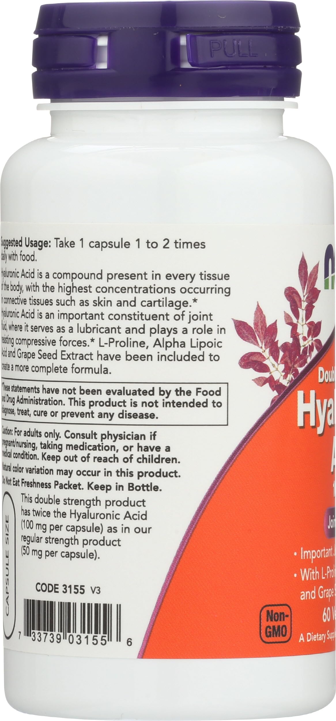 NOW Foods Hyaluronic Acid 100 mg Capsule, 60 Count