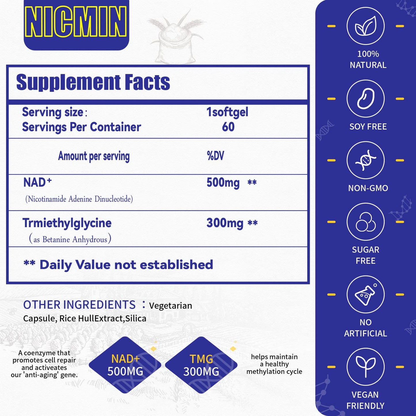 NICMIN Liposomal NAD+ Supplement 800mg with TMG 300mg Capsule 60 Count