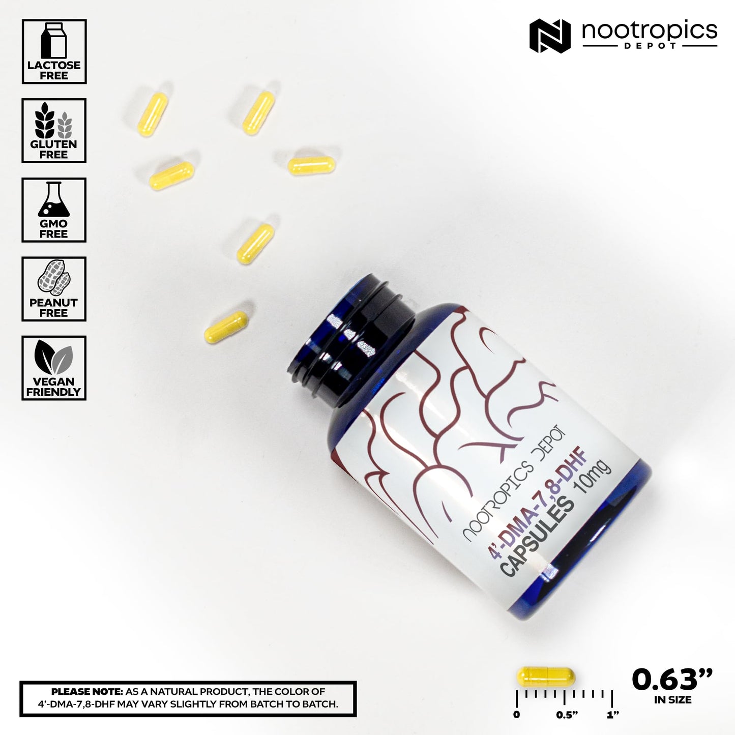 Nootropics Depot 4'-DMA-7,8-DHF Nutritional Supplement Capsules, 10mg, 30 Count