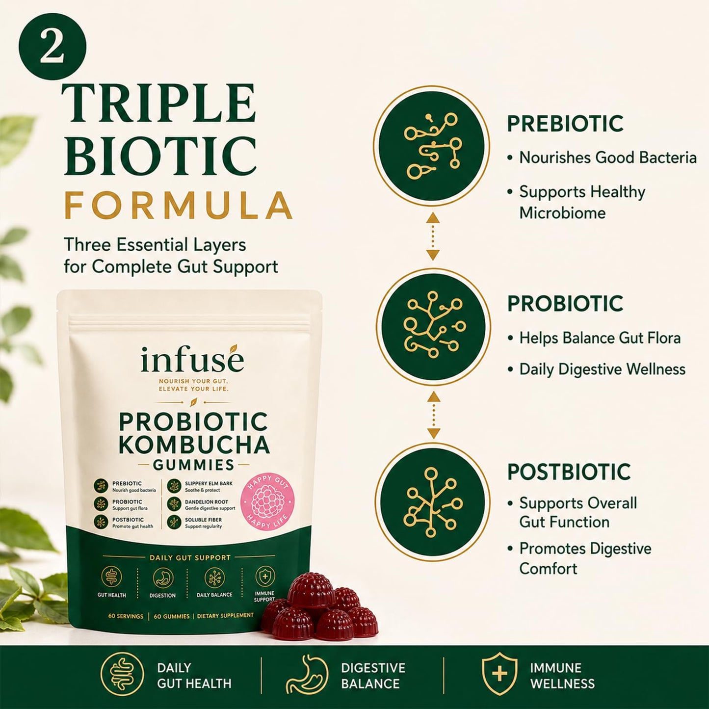 QoCore Supplement Infuse Probiotic Kombucha Capsule, 1 Count