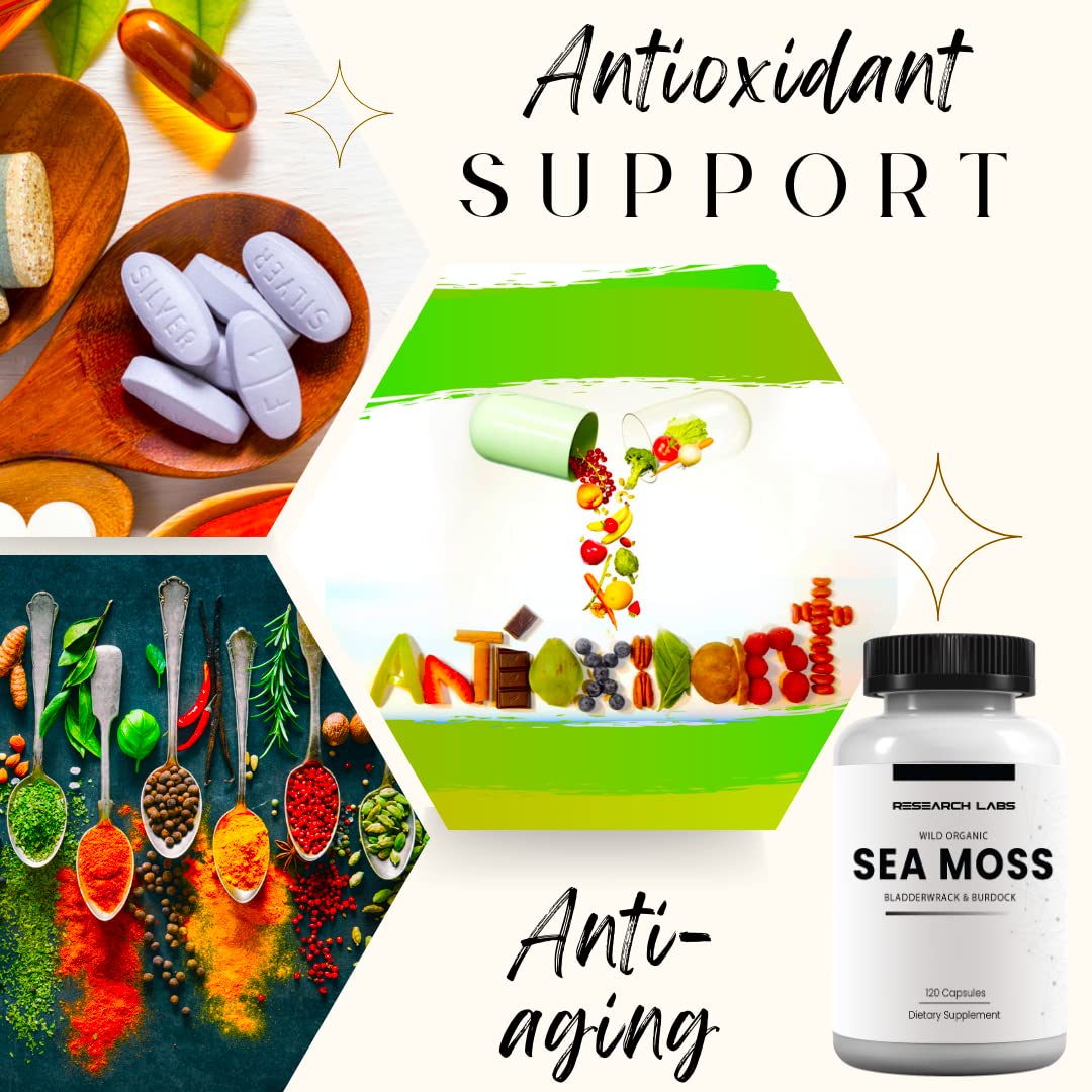 Research Labs 2 Fer 1 Ad Organic Irish Sea Moss Capsules, 240 Capsules, Thyroid Support, Raw Wildcrafted Seamoss with Bladderwrack & Burdock Root
