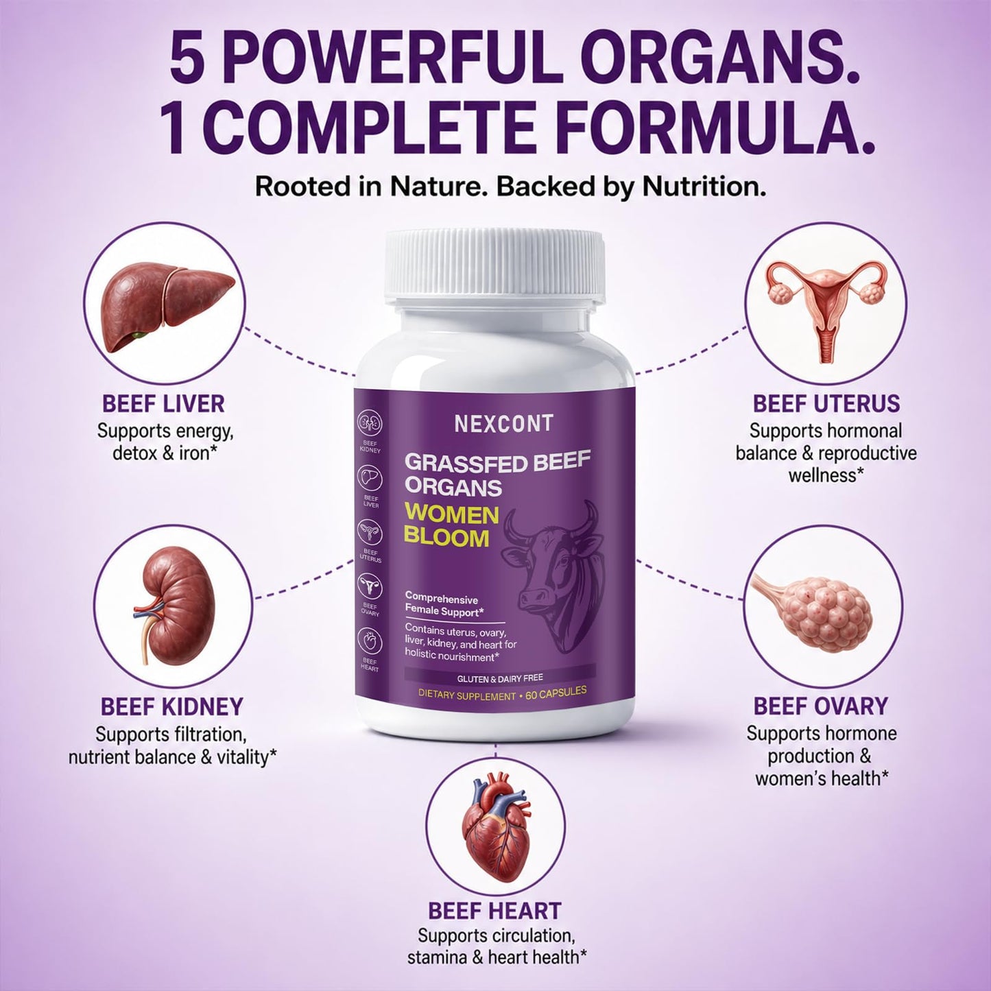 Oopeatol Beef Organ Supplement for Women, 60 Capsules