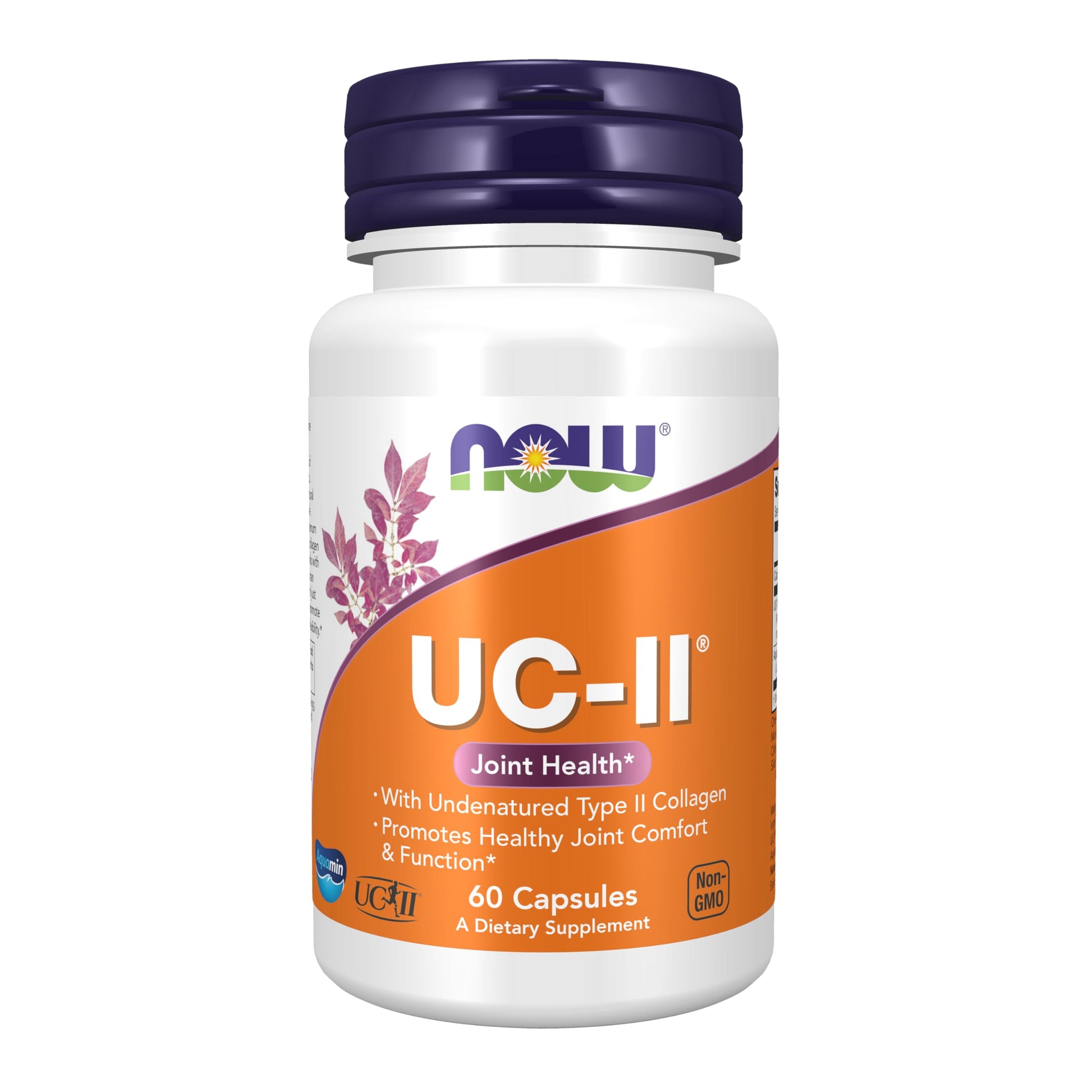 NOW Foods UC-II Type II Collagen with Undenatured Type II Collagen Veg Capsules, 60 Count