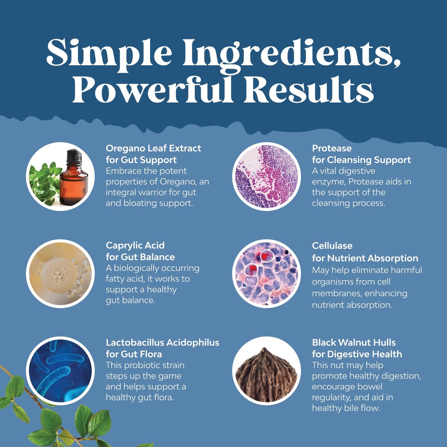 Natures Craft Candida Cleanse Detox for Women Capsules, 60 Count