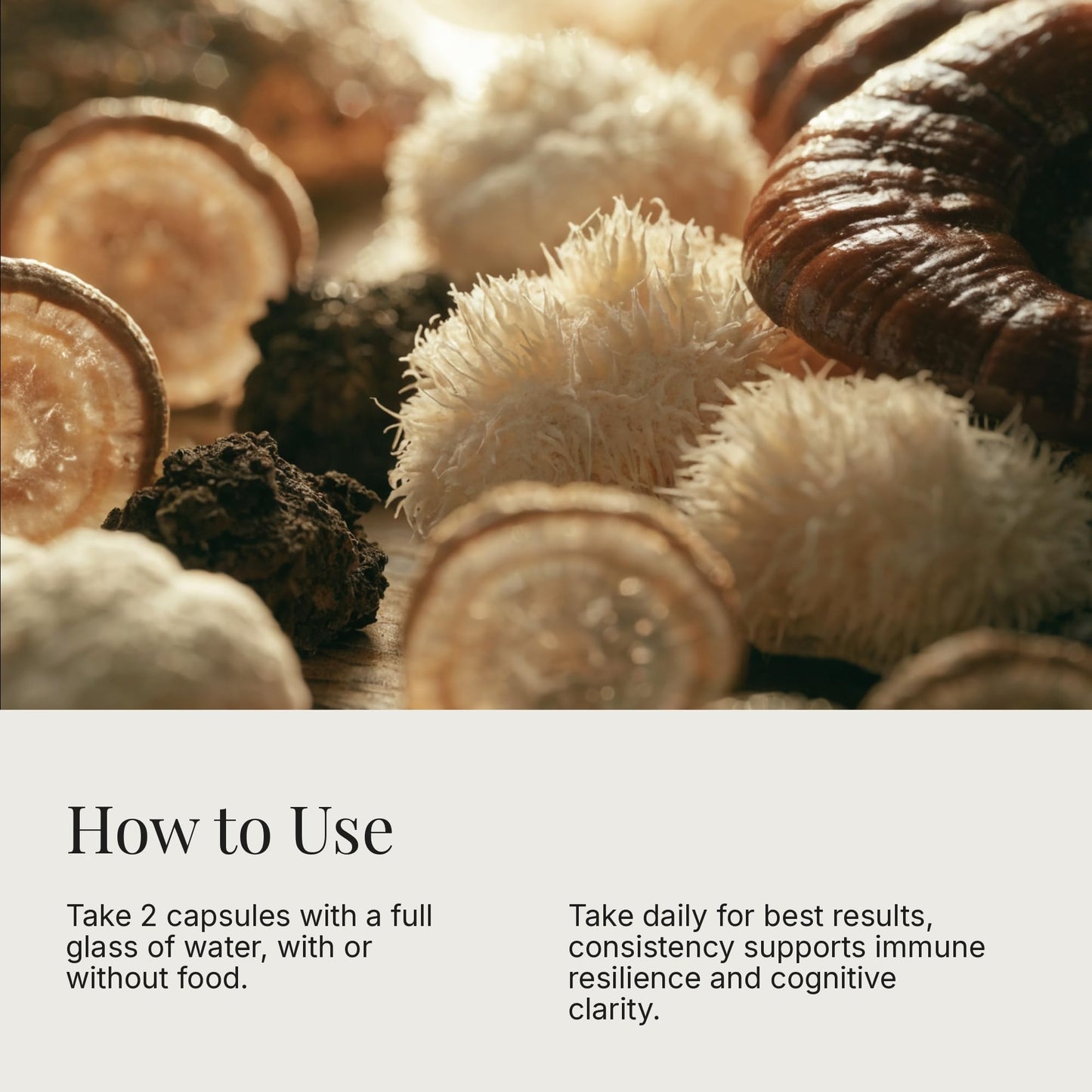 Dear Apothecary Daily Mushrooms+ Organic Mushroom Powder 4.2 Ounce