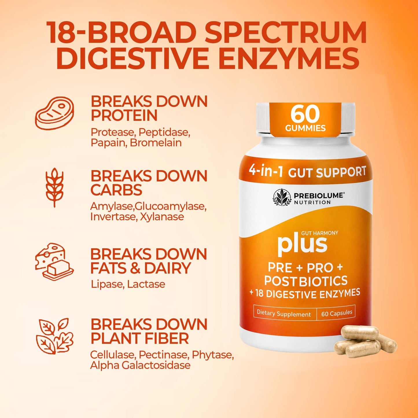 Prebiolume 4-in-1 Formula Probiotic, Prebiotic, Postbiotic with 18 Digestive Enzymes Complex Capsules, 60 Count