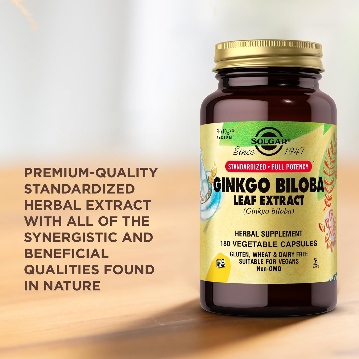 Solgar Ginkgo Biloba Leaf Extract 180 Capsules
