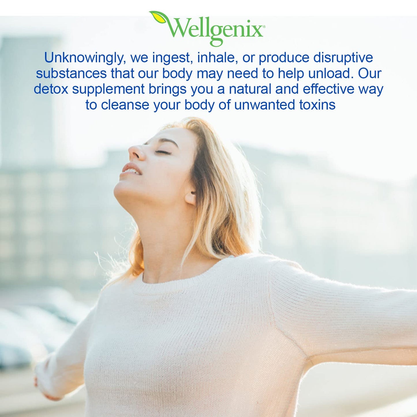 Wellgenix Omni Herbal Cleanse Detox Capsules 4 Count