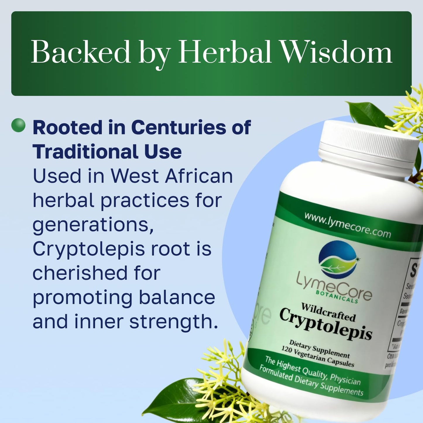 LymeCore Botanicals Cryptolepis Root Extract Capsule, 120 Capsules