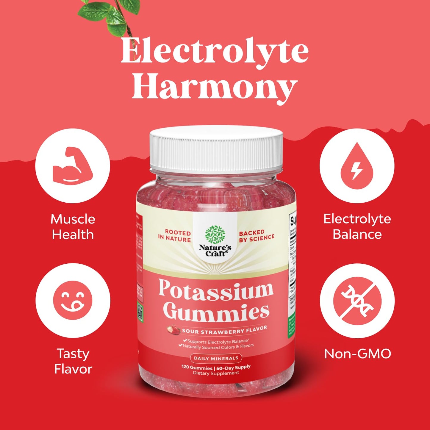 Natures Craft Potassium Citrate Gummies for Adults - Strawberry Flavored, 120 Count