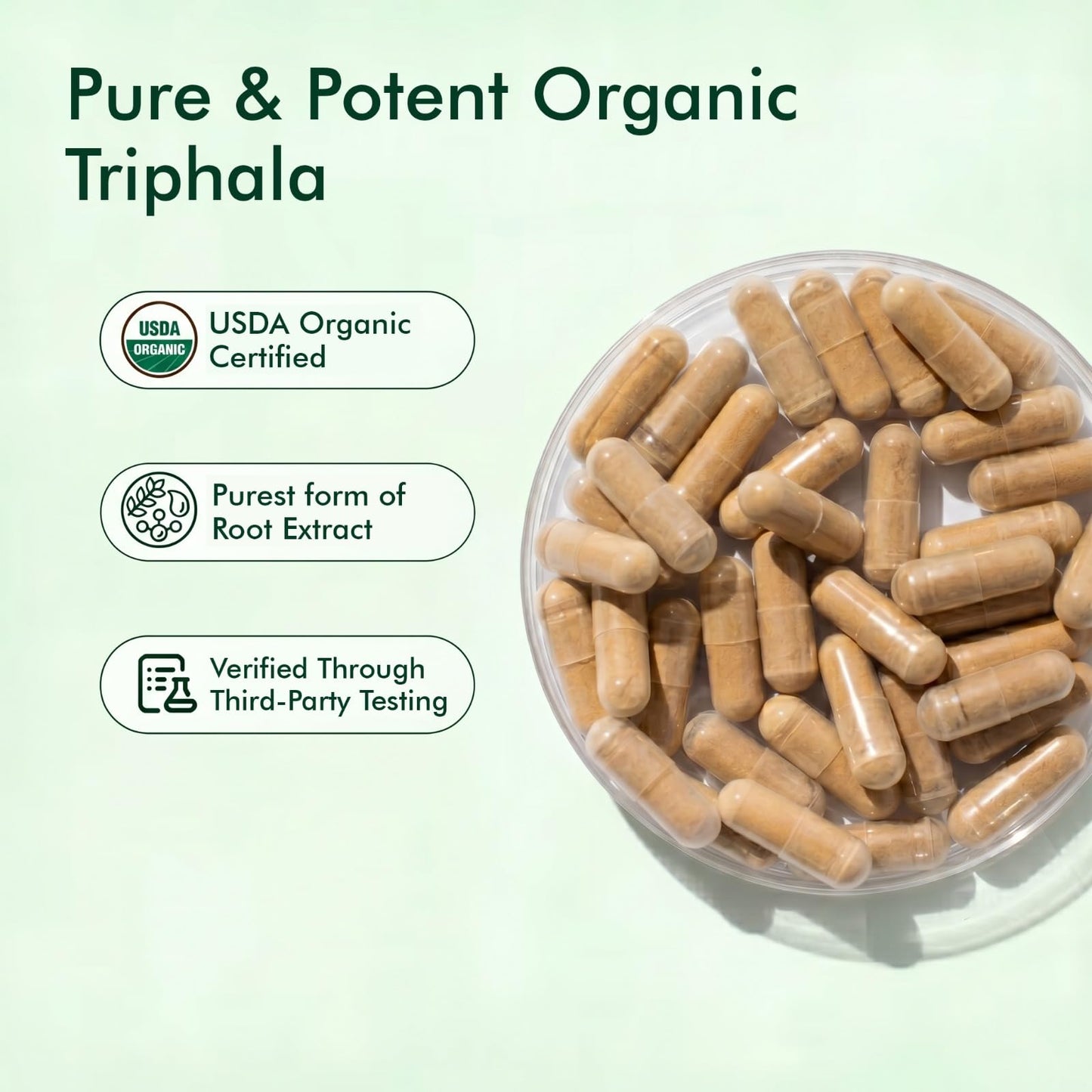 Herbogayam Triphala Capsules 500mg, 60 Capsules