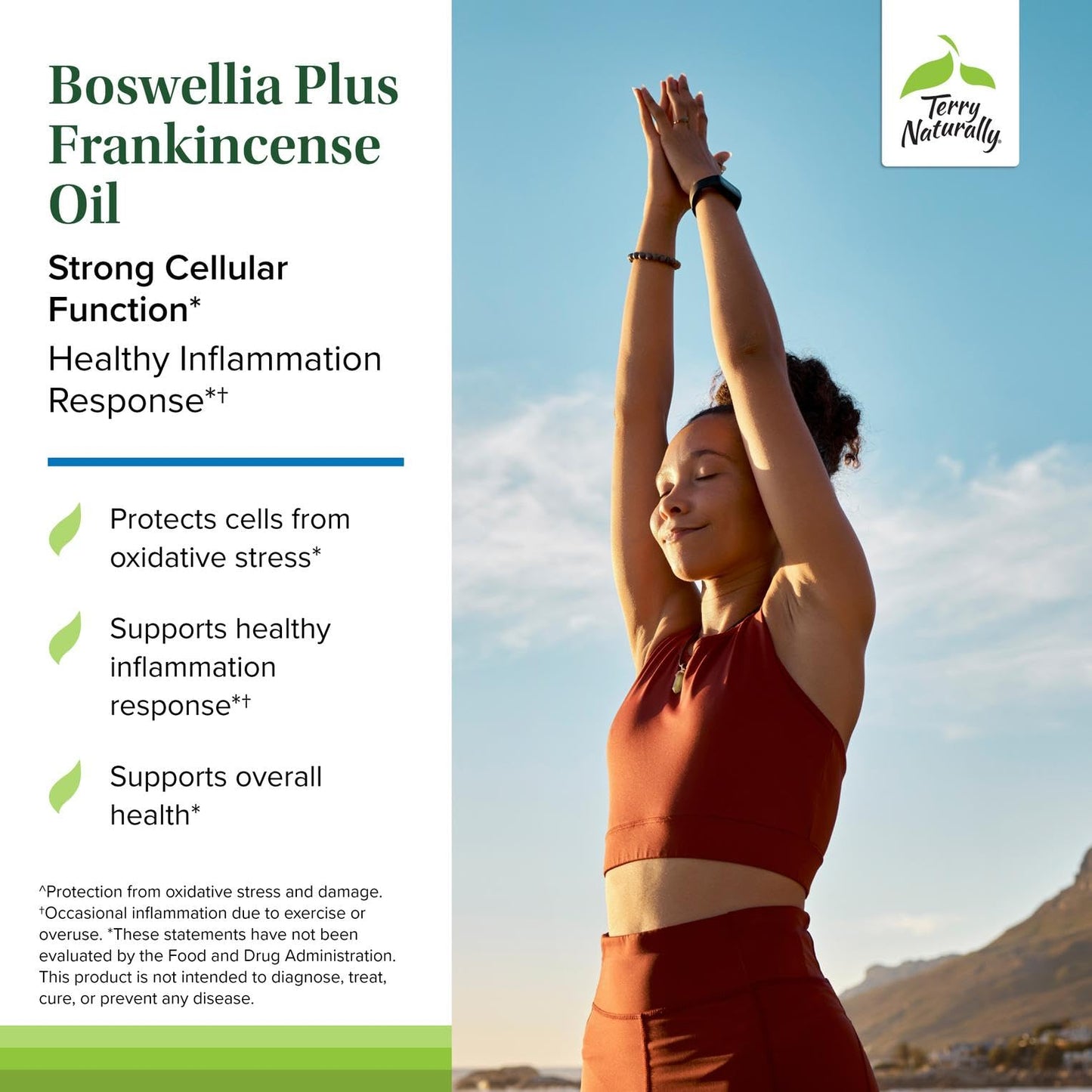 Terry Naturally BosMed + Boswellia with Frankincense Oil Softgels 60