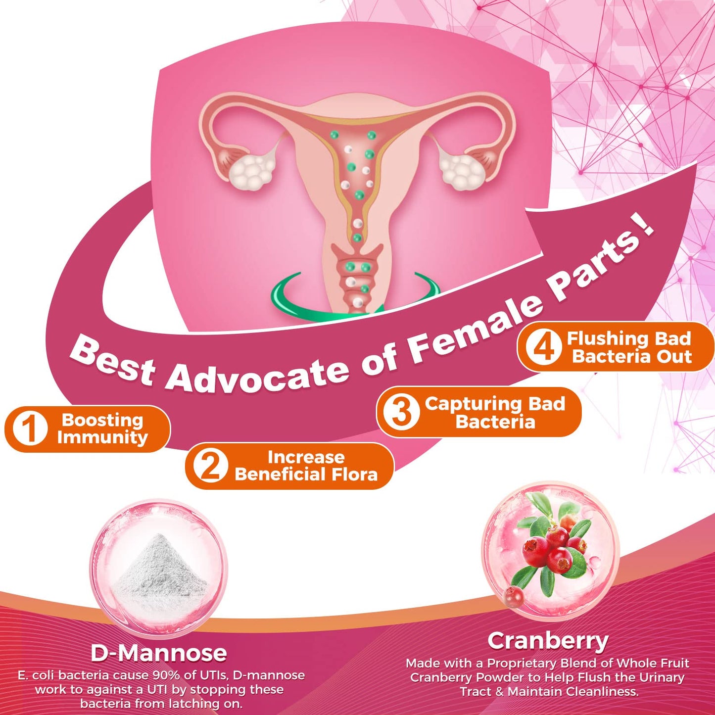 ZEBORA Probiotics for Women 100 Billion CFUs with Prebiotics, D-Mannose & Cranberry for Digestive, Immune, Feminine UT Health Support, Ultimate Probiotic Women's Care, Soy & Gluten Free, Powder 3.17 oz