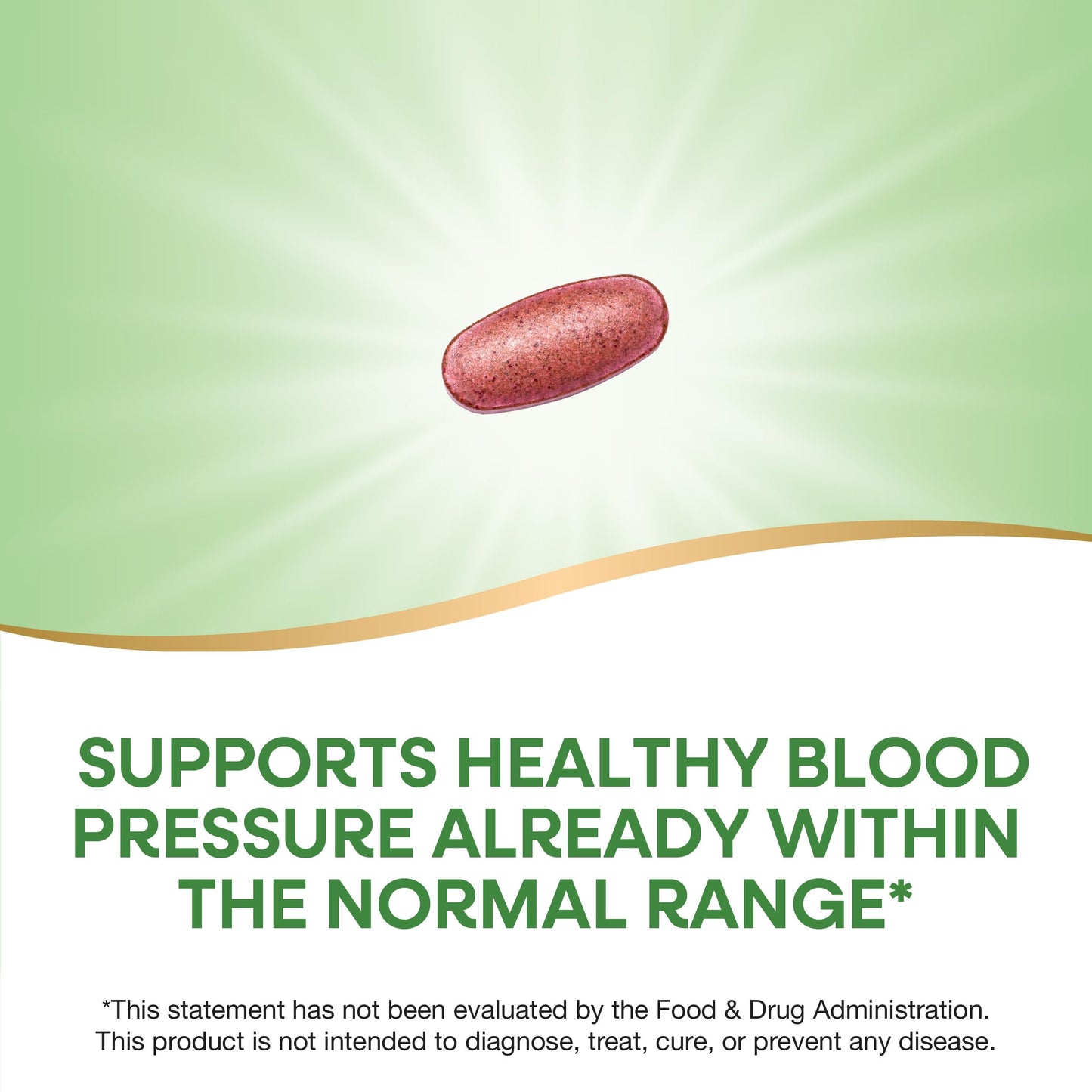 Nature's Way BP Manager 90 Tablets