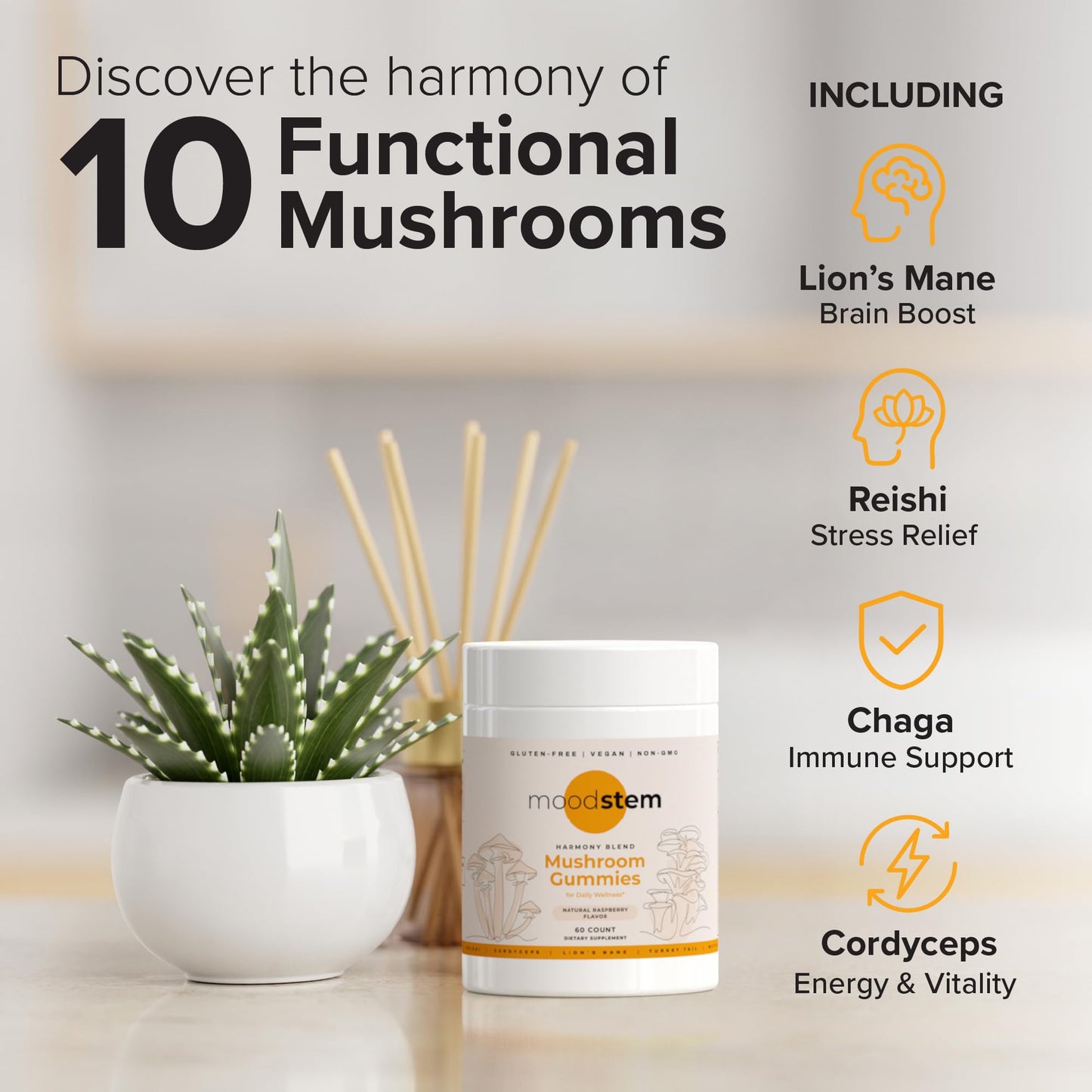 Moodstem Mushroom Harmony Blend Daily Mushroom Supplement Gummy 60-count