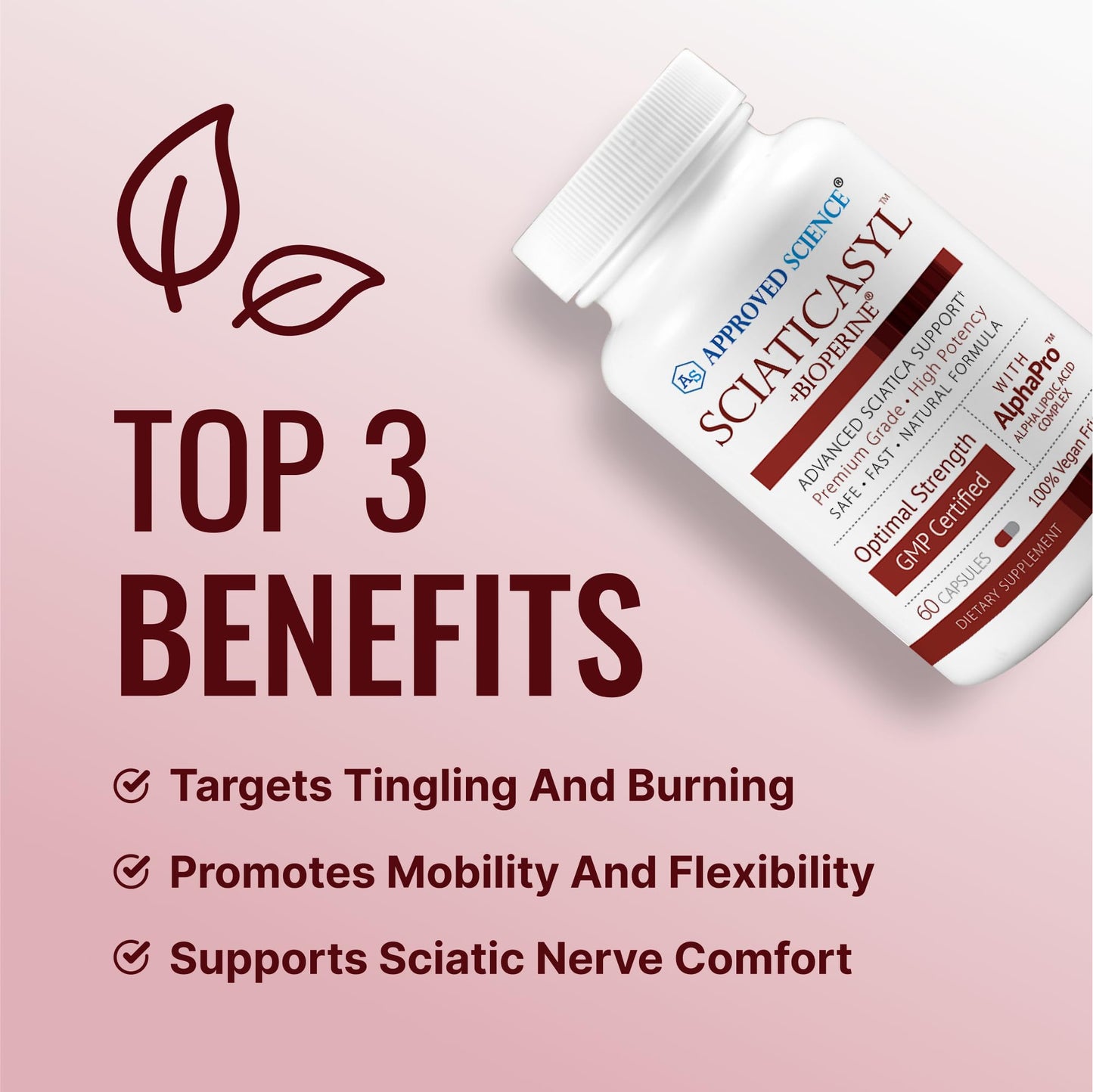 Approved Science Sciaticasyl - Optimal Sciatic Nerve Support 360 Capsules