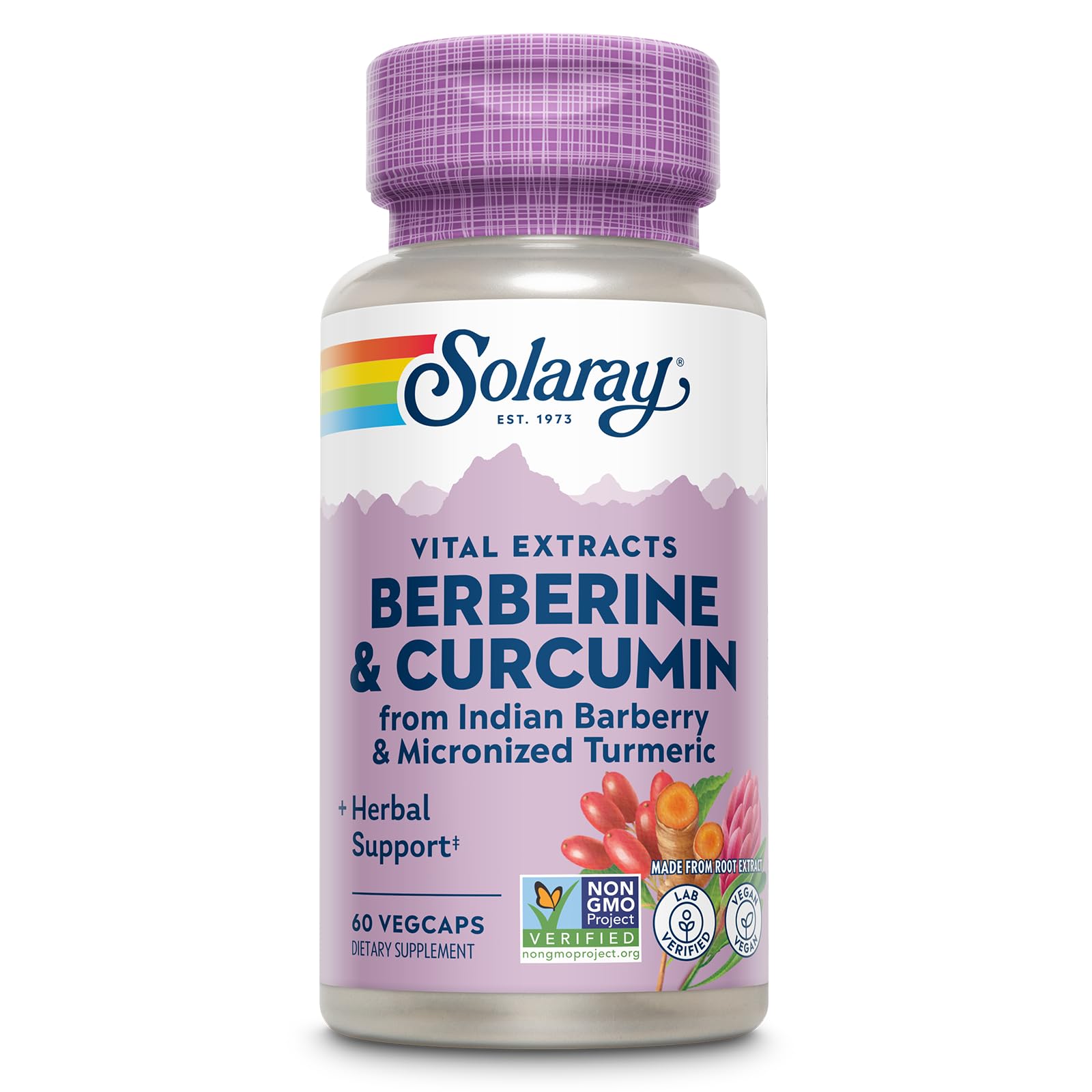 SOLARAY Berberine & Curcumin - Berberine Turmeric Supplement with 20% Micronized Curcumin from Turmeric Root - Herbal Wellness Support Capsules, 60 Count