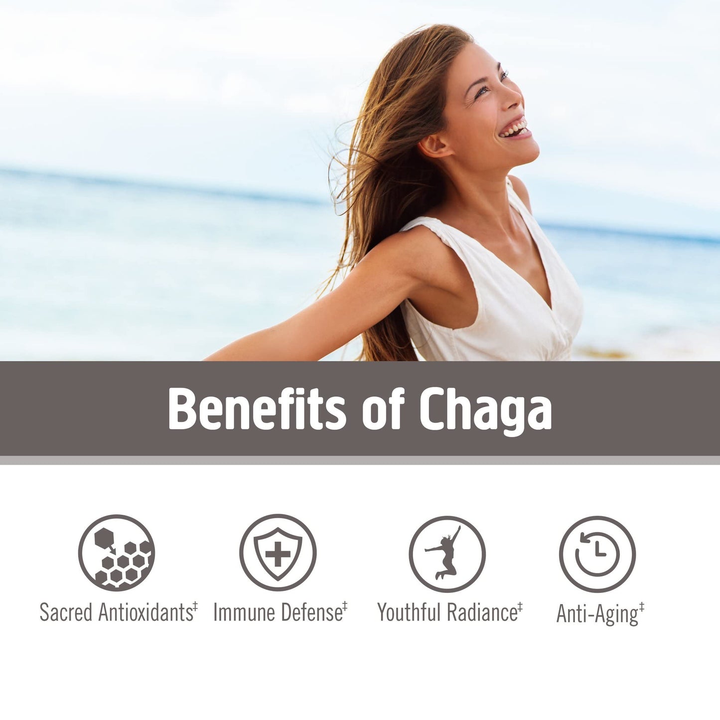 OM MUSHROOM SUPERFOOD Chaga Organic Mushroom Powder, 7.05 Ounce