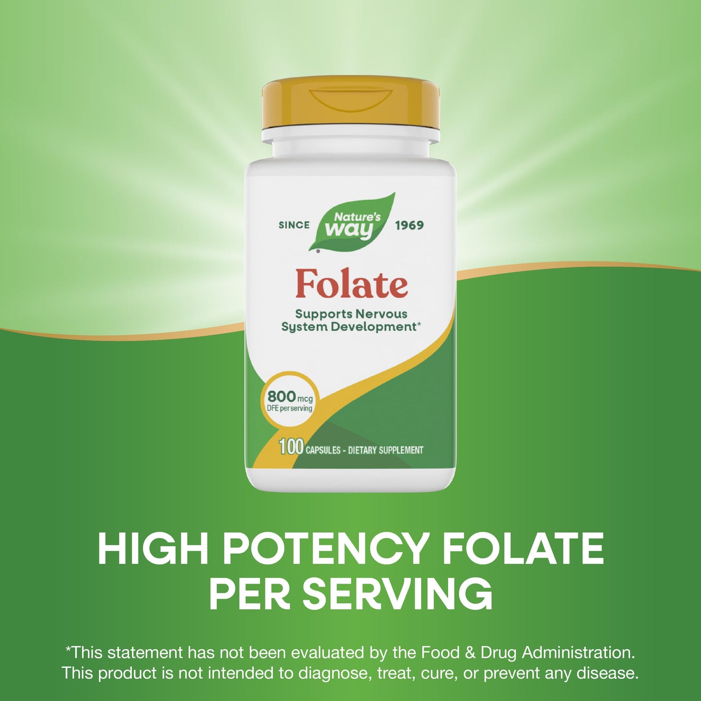 Nature's Way Folic Acid Capsule, 100 Capsules