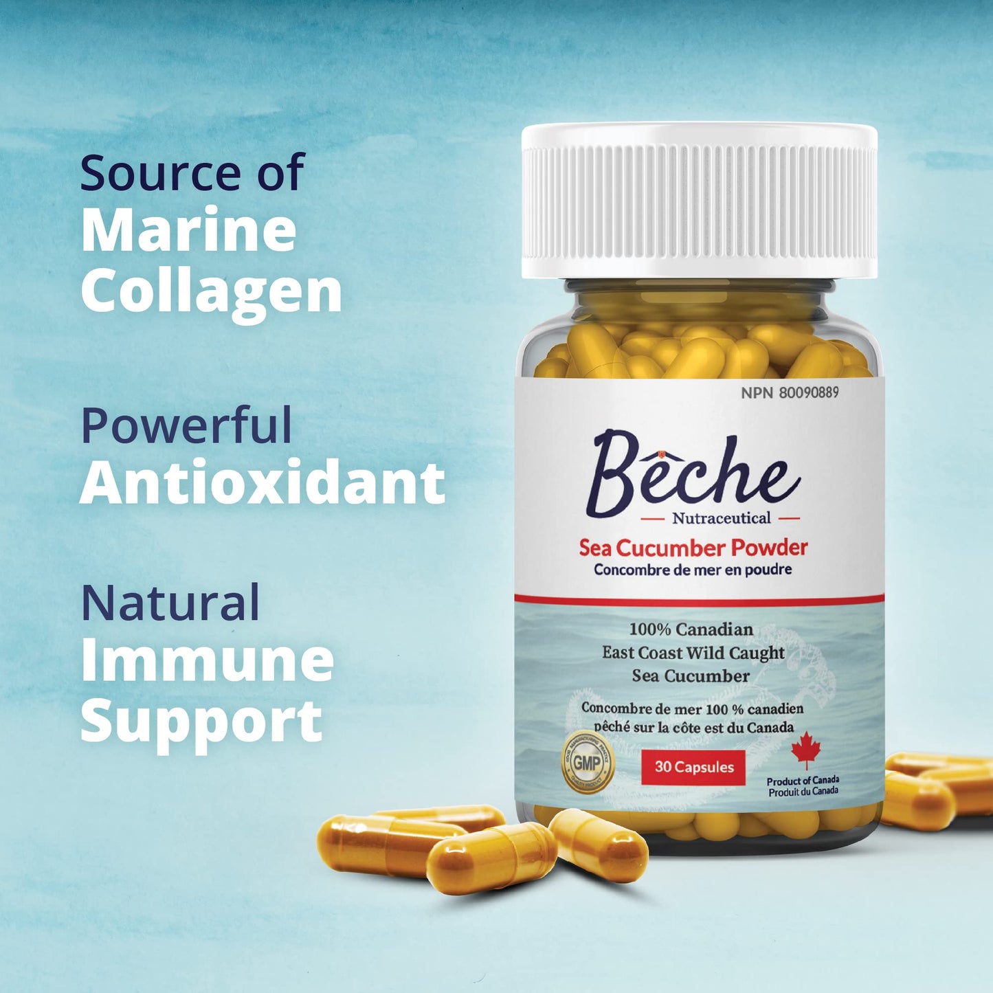 Bêche Sea Cucumber Powder Capsule, 30 Capsules