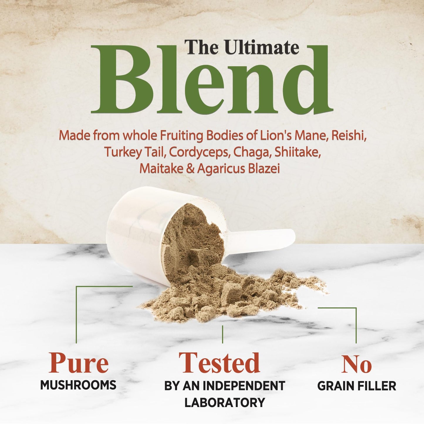 Nature's Nutrition Mushroom Powder Supplement - 11-in-1 Blend - Organic Lions Mane, Reishi, Cordyceps, Chaga, Turkey Tail Mushroom Extract Powder - Brain & Immune Support, 60 Servings