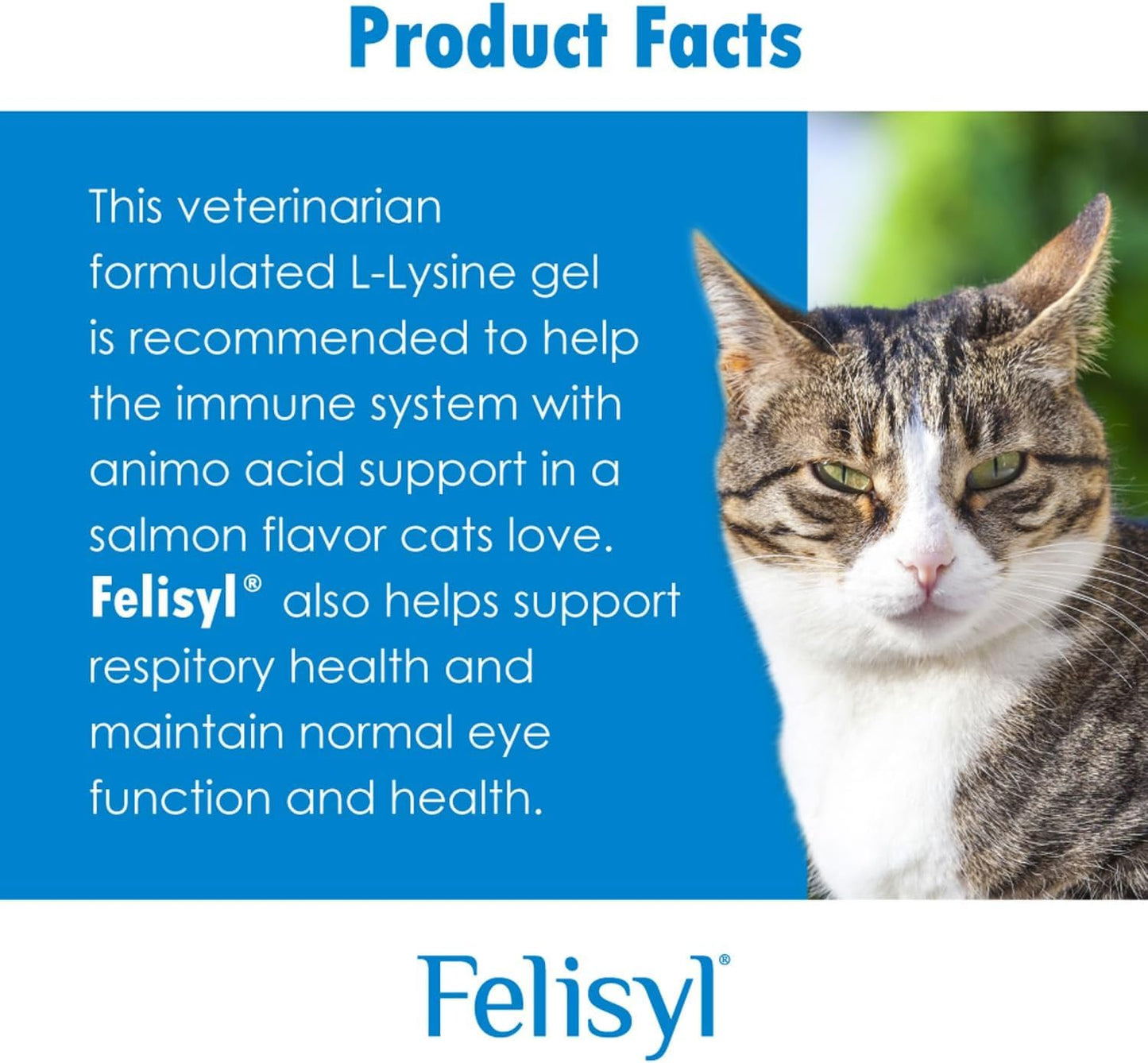 Felisyl L-Lysine Soft Chews for Cats 60