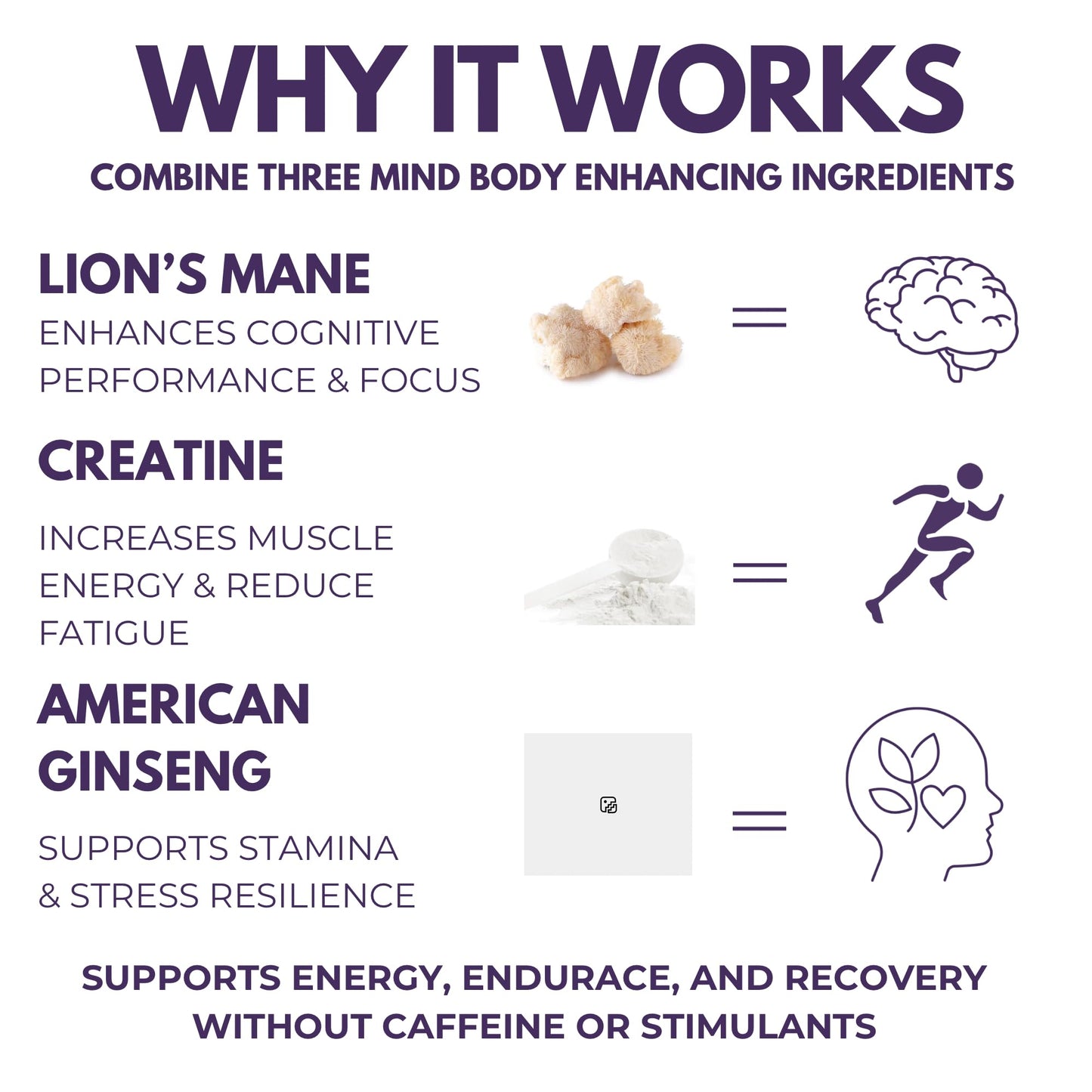 The Mushroom Society Pre-Workout Supplement - Focus & Performance Stack with Lion’s Mane, Creatine, American Ginseng & Beta-Glucans – Natural Energy & Endurance Without Caffeine, 120 Capsules