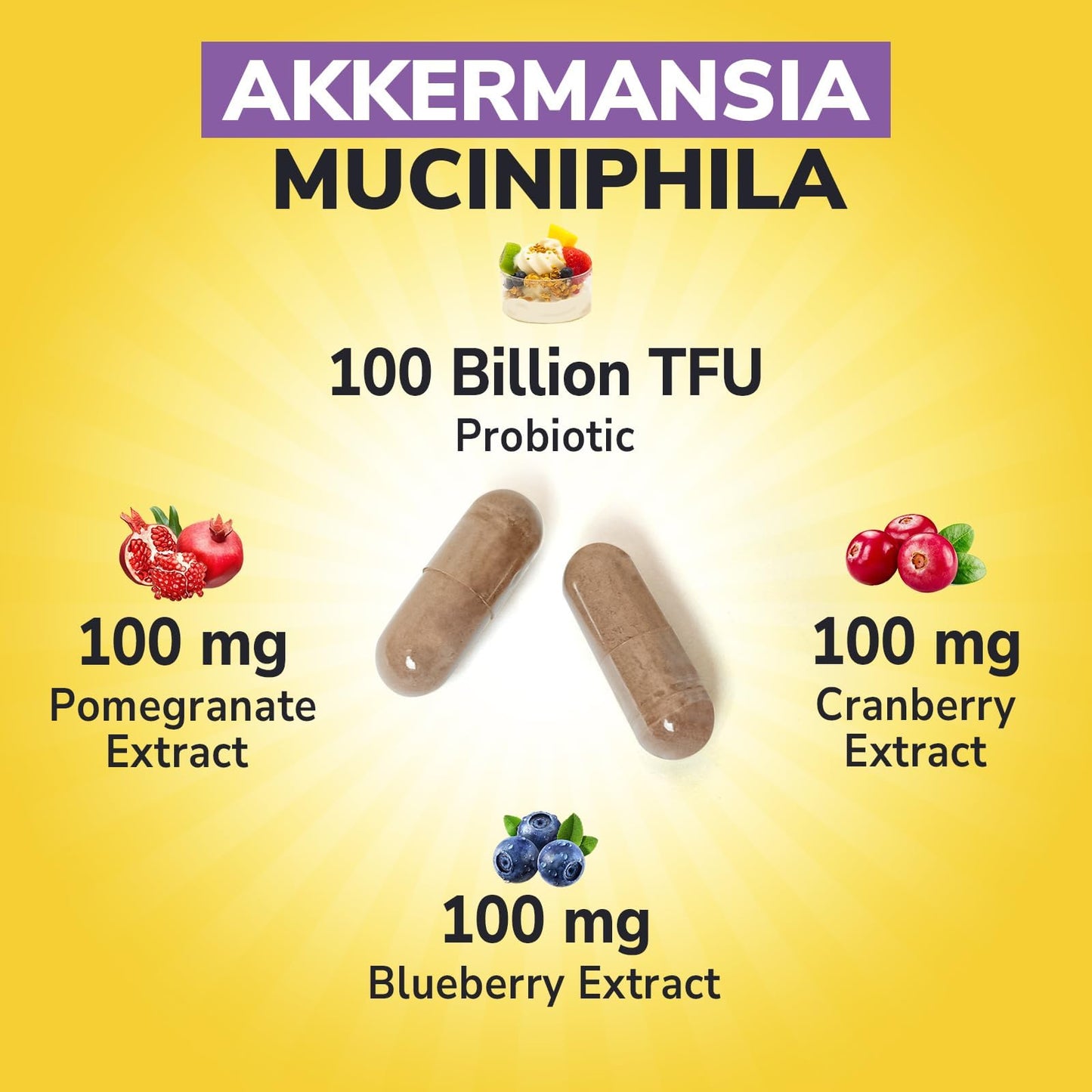 Vitalibre Akkermansia Probiotics 100 Billion TFU, Pasteurized Akkermansia Muciniphila, w/Cranberry, Blueberry & Pomegranate, Digestive & Immune Health, Leaky Gut, GLP-1 Supplement, 30 Capsules