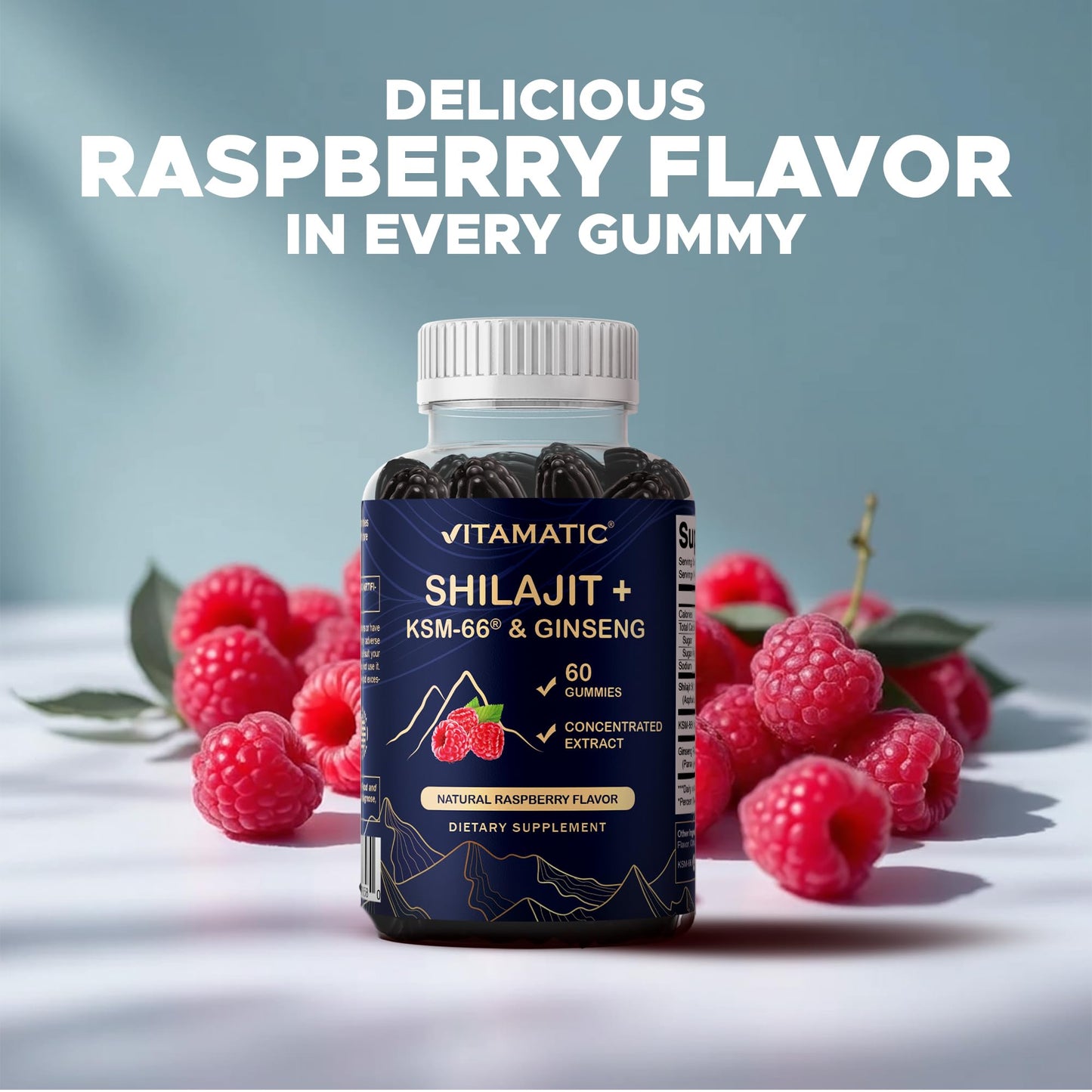 Vitamatic Shilajit with KSM-66 Ashwagandha & Ginseng Extract Gummies, 60 Count