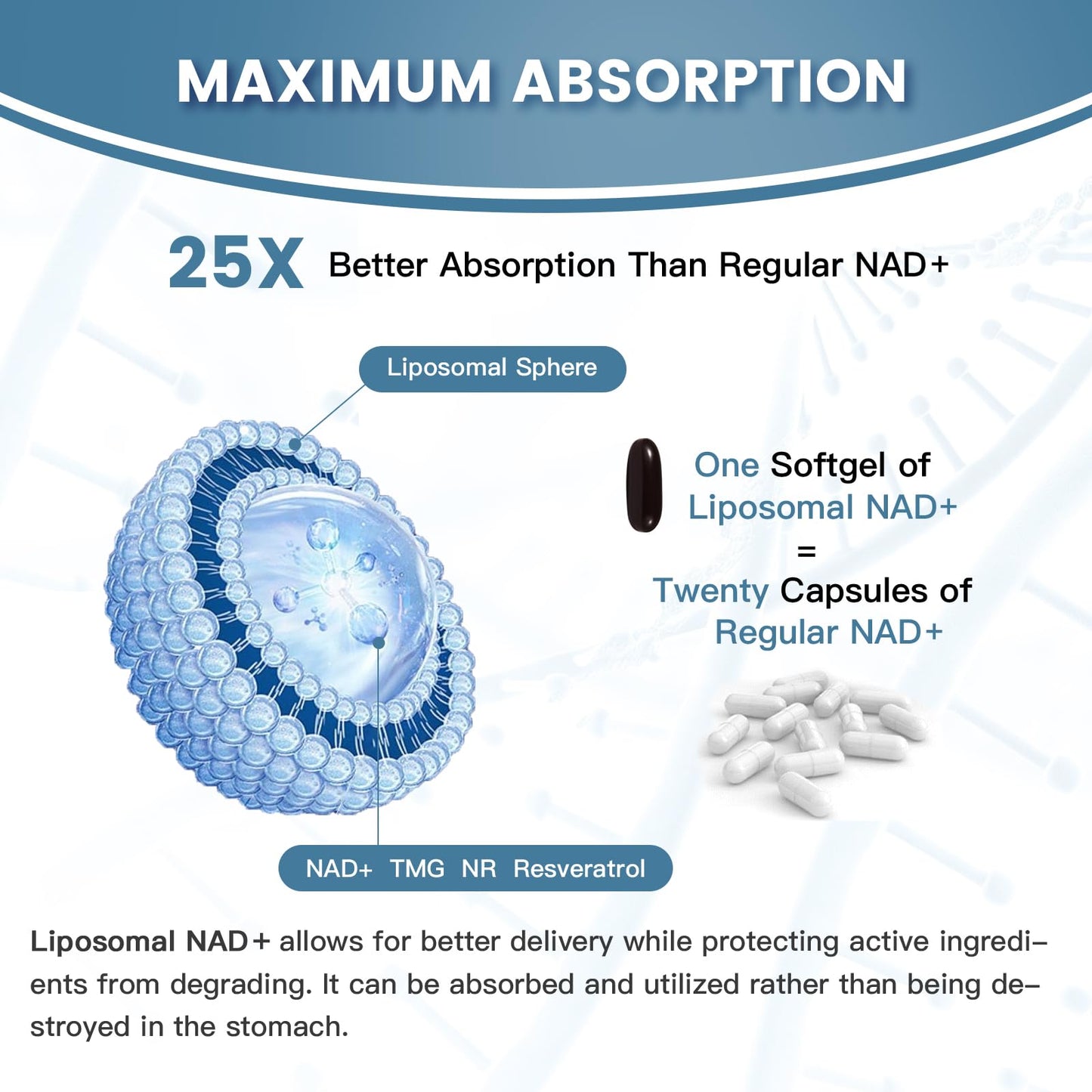 inGreens Liposomal NAD+ Supplement 1800 mg with Nicotinamide Riboside, Trans-Resveratrol, Trimethylglycine, Replaces NMN, Boost NAD+, Aging Defense, Cellular Energy, 180 Softgels