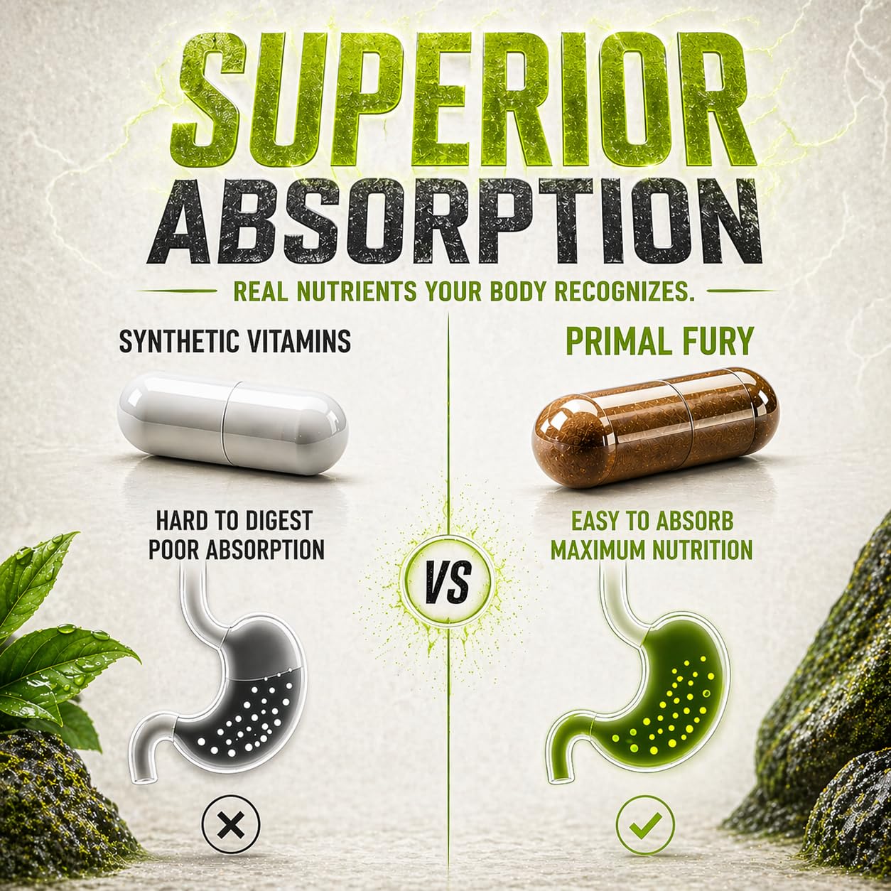 PRIMAL FURY Grass Fed Beef Organ Supplement for Men Capsules 90 Count