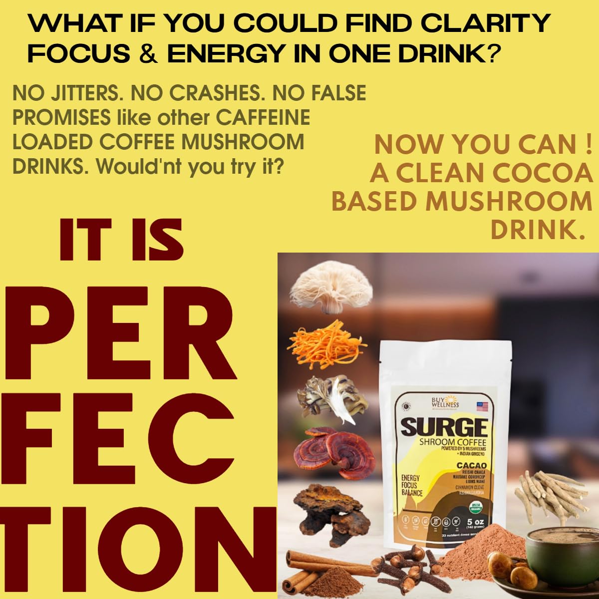 Buy Wellness SURGE 5 Mushroom Cocoa Drink Powder 5.2911