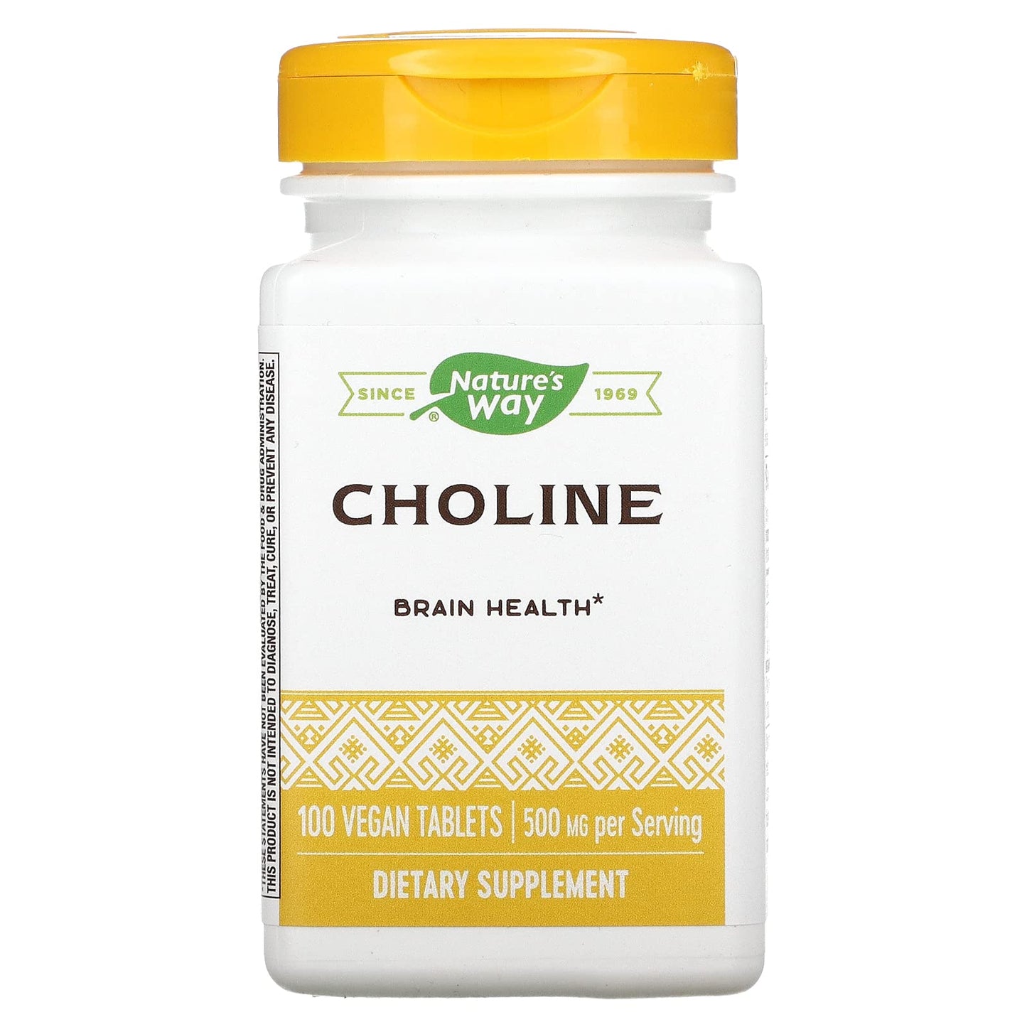 Nature's Way Choline 500mg Tablets 100