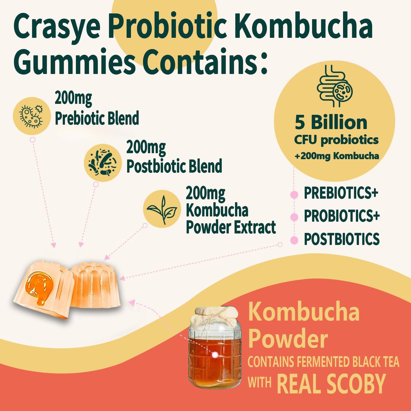 Crasye Probiotic Kombucha Gummies Sugar Free Prebiotic Postbiotic Probiotics, 60 Count