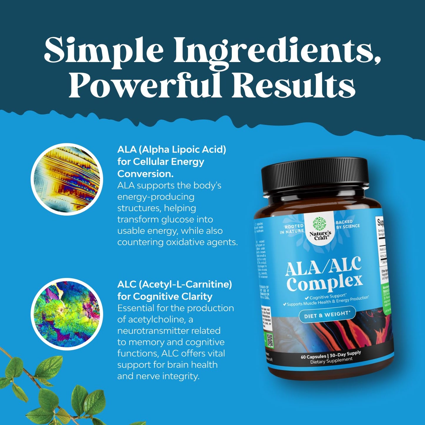 Natures Craft Pure Alpha Lipoic Acid Supplement with Acetyl L-Carnitine Capsules, 60 Count