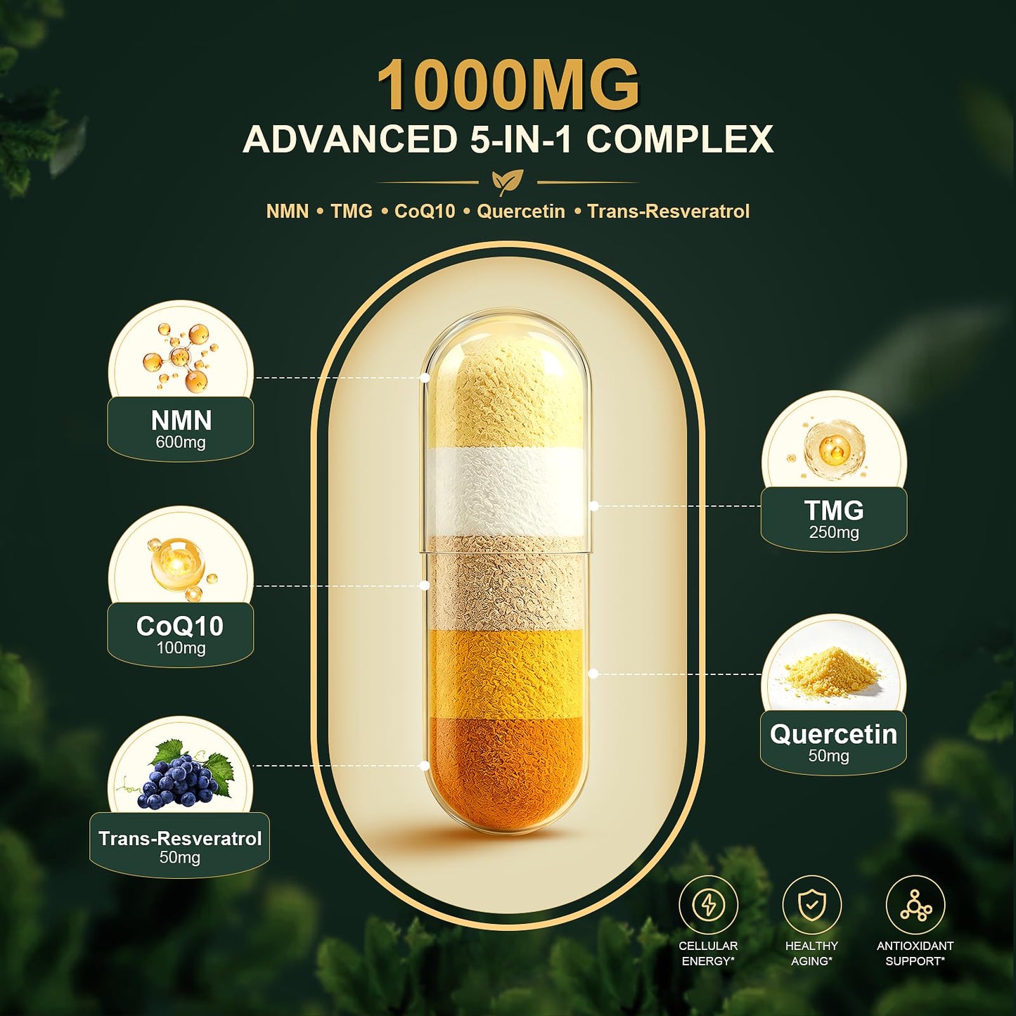 Leafgush NMN NAD+ Precursor Supplement, 1000mg 5-in-1 Complex (600mg NMN + TMG 200mg; Trans-Resveratrol, Quercetin, CoQ10), 120 Capsules
