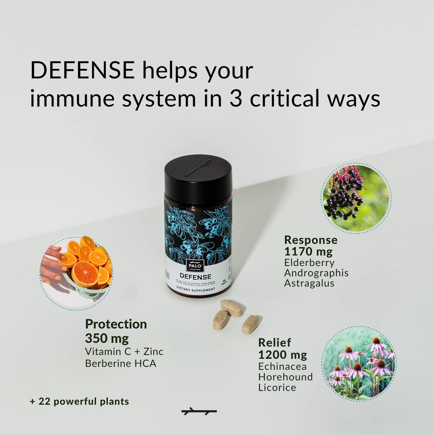 PALO Defense Wellness Formula Vitamins & Herbal Blend Immune System Support with Elderberry, Vitamin C, Zinc, Echinacea, Astragalus, Andrographis, 90 Tablets