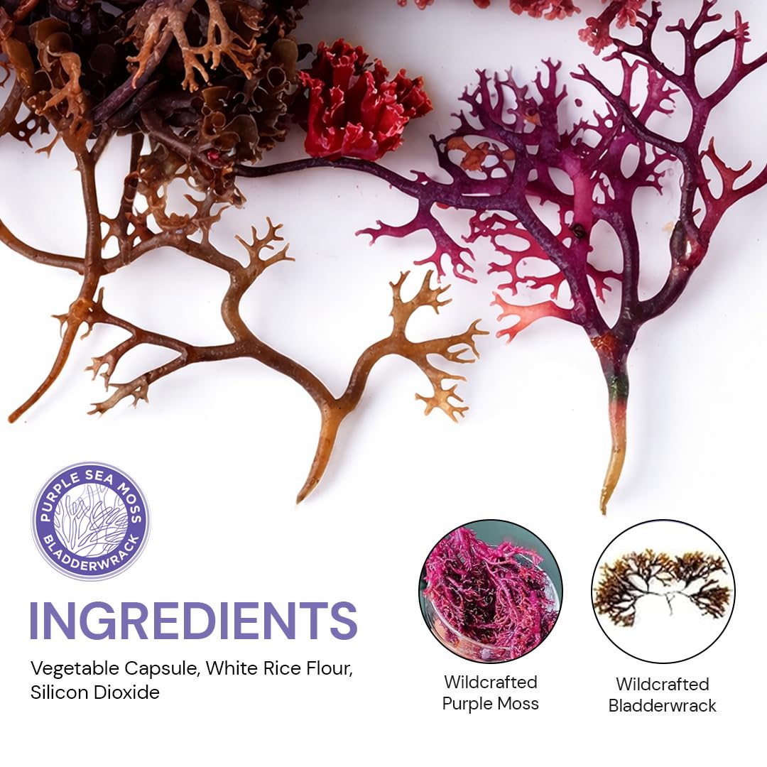 BocaHeal Purple Sea Moss + Bladderwrack Capsules, 60 Count