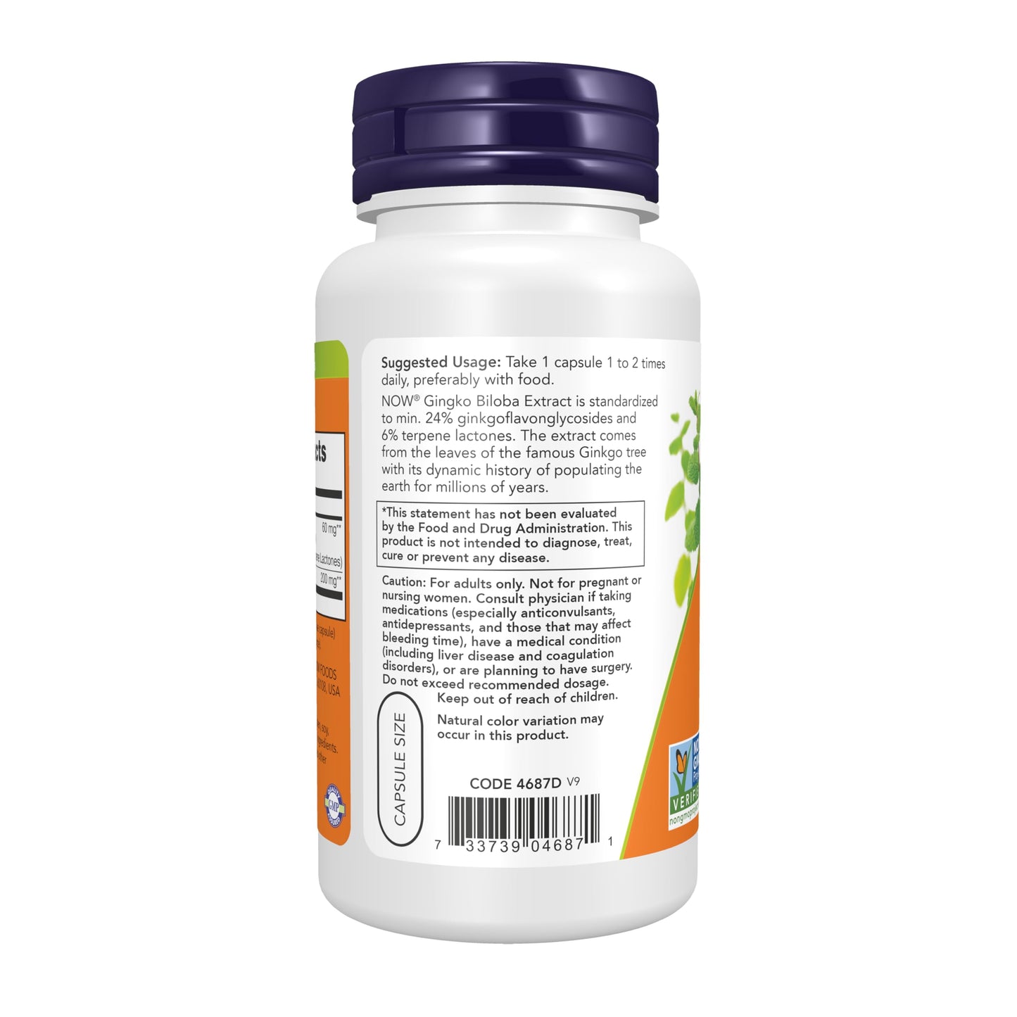 NOW Foods Ginkgo Biloba 60 mg, 24% Standardized Extract, Veg Capsules, 120 Count