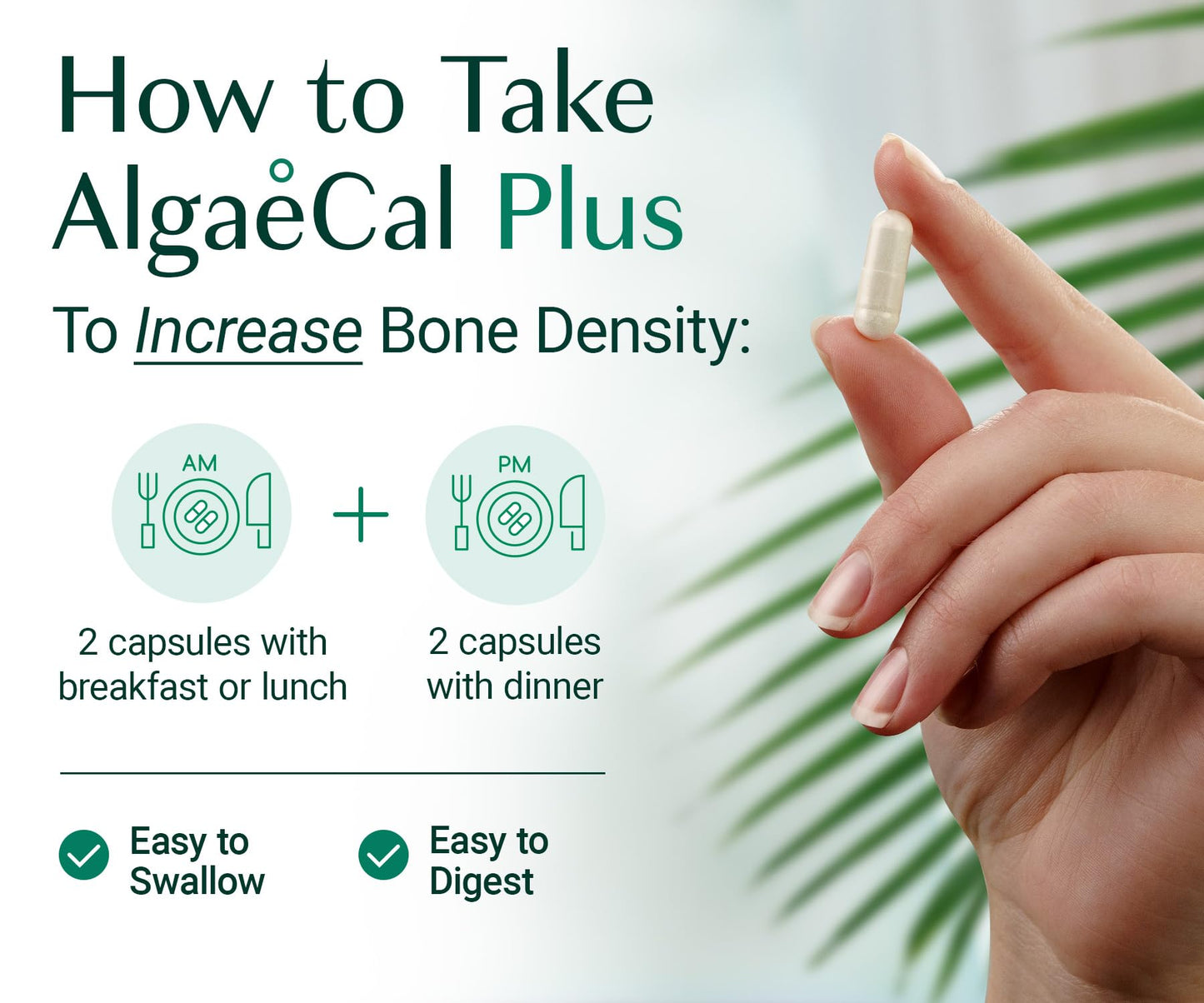 ALGAECAL Organic Red Algae Calcium Supplement Capsules, 360 Count