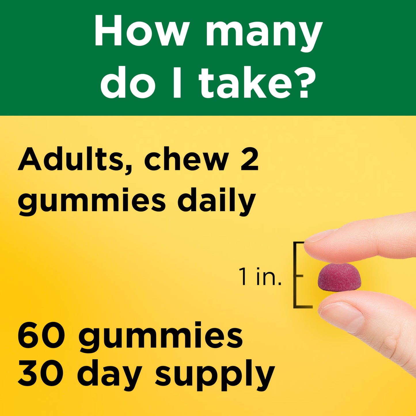 Nature Made High Absorption Magnesium Citrate 200 mg per serving Gummies, 60 Count