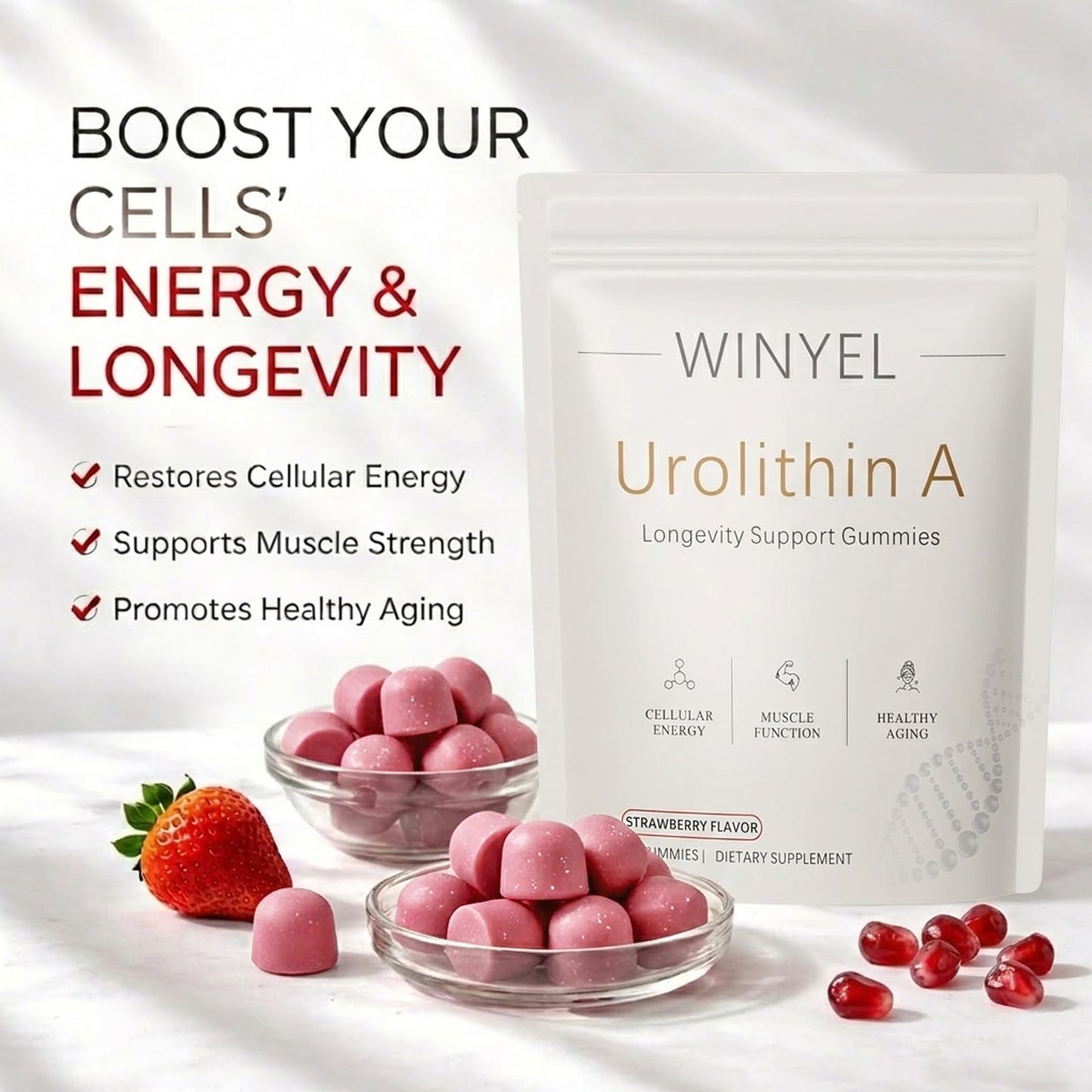 WINYEL Urolithin A Supplement Gummies 500mg with Trans-Resveratrol, CoQ10 Mitochondrial & Cellular Energy Support, 60 Count