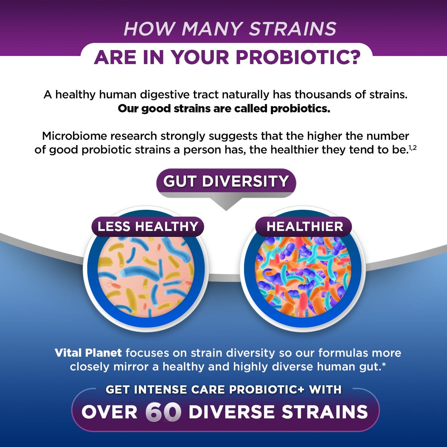 Vital Planet Intense Care Brain & Mood Probiotics, Prebiotics, Postbiotics, Parabiotics, Complete 4-in-1 Refrigerated Supplement for Adults, 65 Billion CFU, 67 Strains, Digestive and Immune Capsules, 30 Count