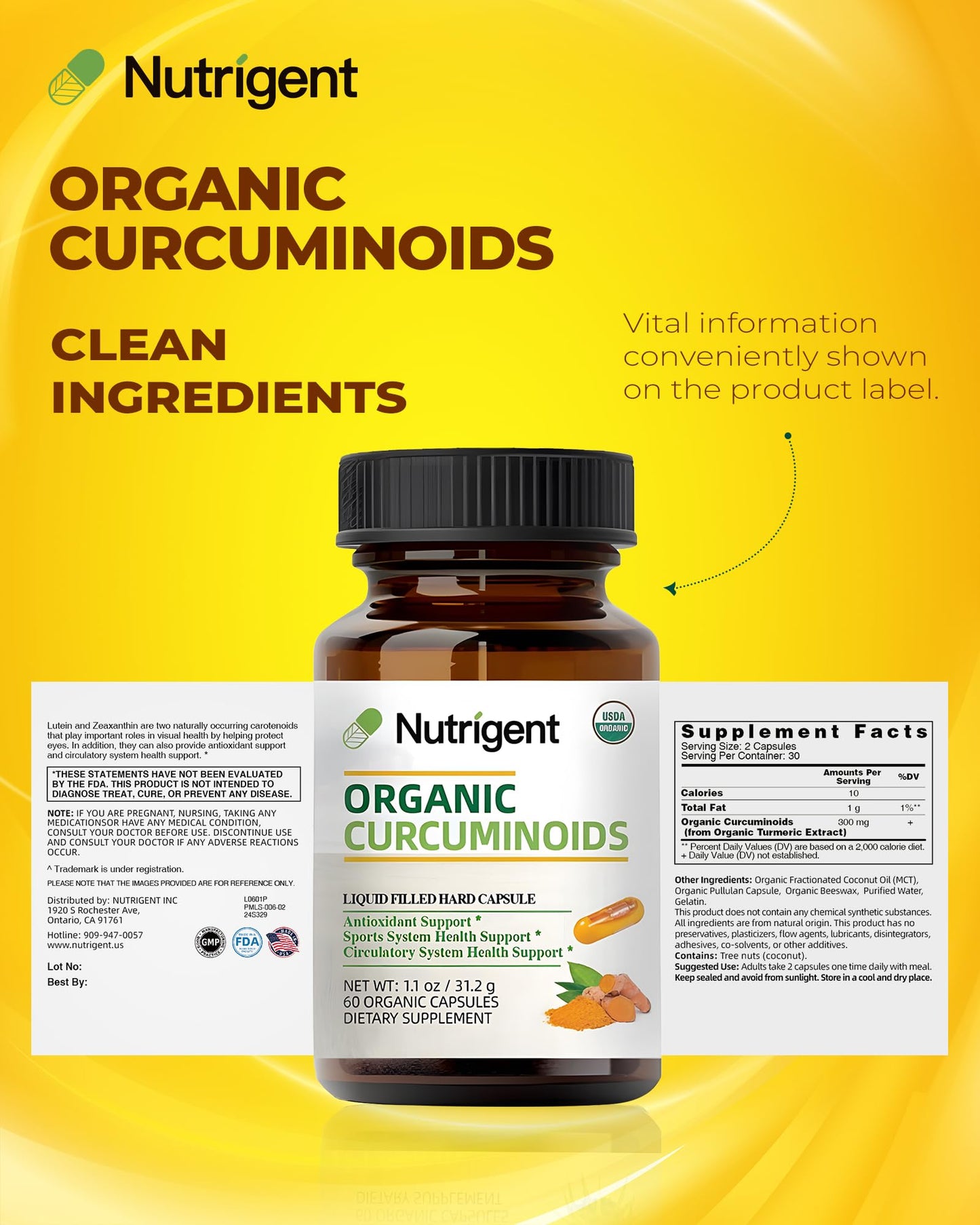 Nutrigent USDA Organic Turmeric Curcumin Supplement, Turmeric Extract with Curcuminoids 300 mg Capsule, 60 Count