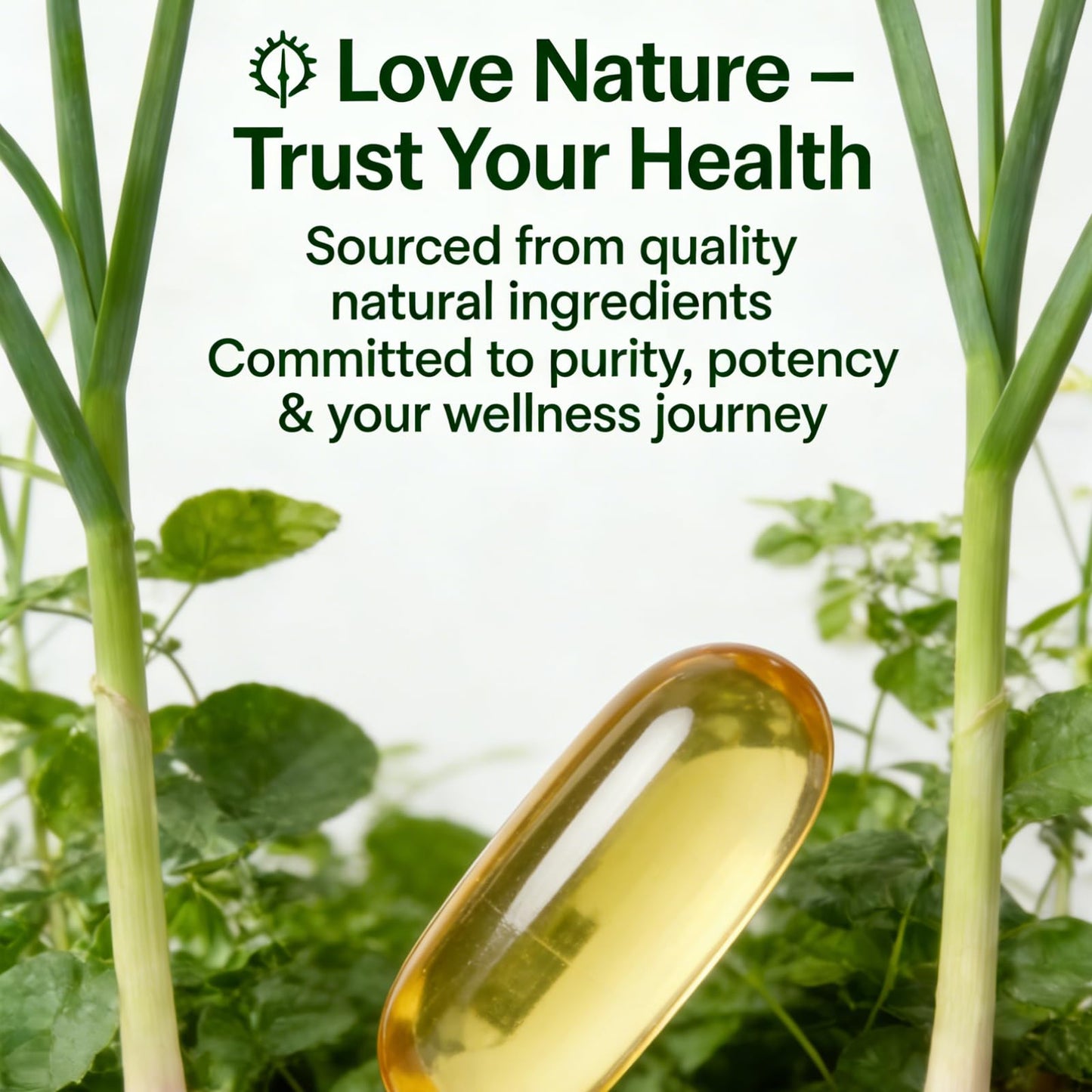TEYAOE LUMINE Aged Garlic Extract Odorless Softgel 300