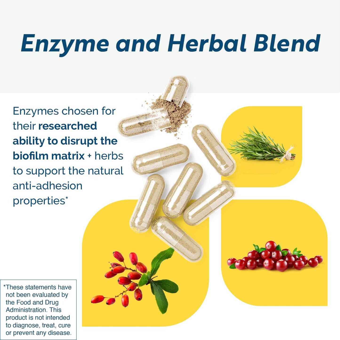 Researched Nutritionals BioDisrupt - Disrupt Biofilm Matrices - Clinically Researched Formula with Enzymes Disrupt Enzyme Blend, Cranberry Extract & N-Acetyl Cysteine, 120 Capsules