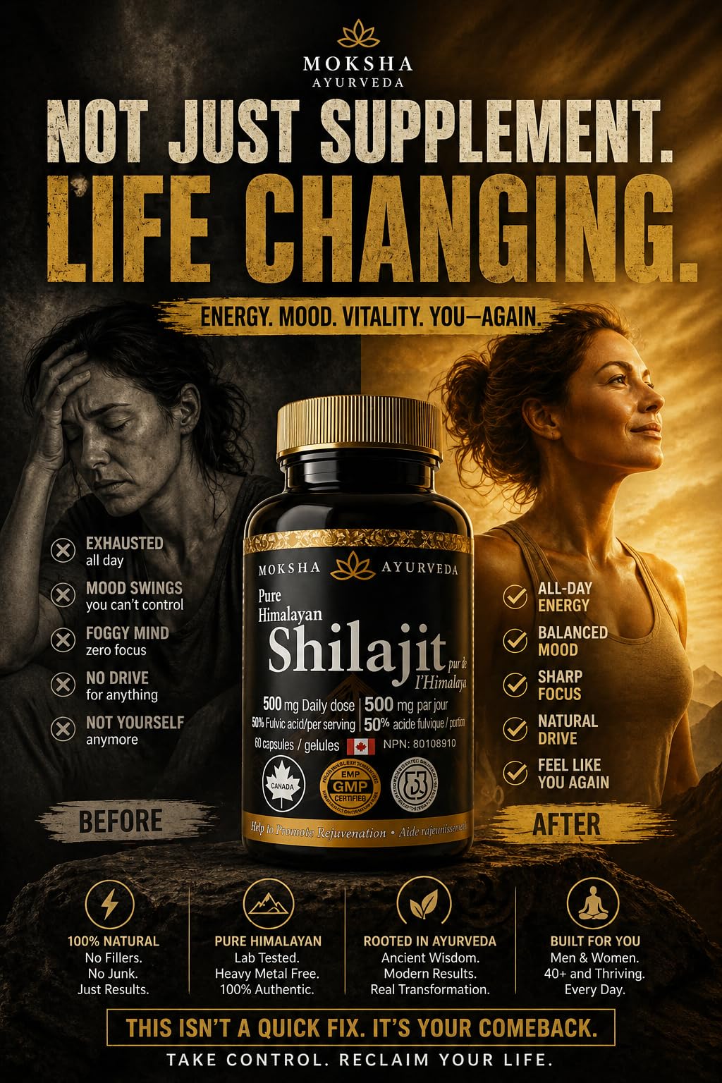 Greystone Tea Shilajajit Ultra Gold Capsules, 60 Count