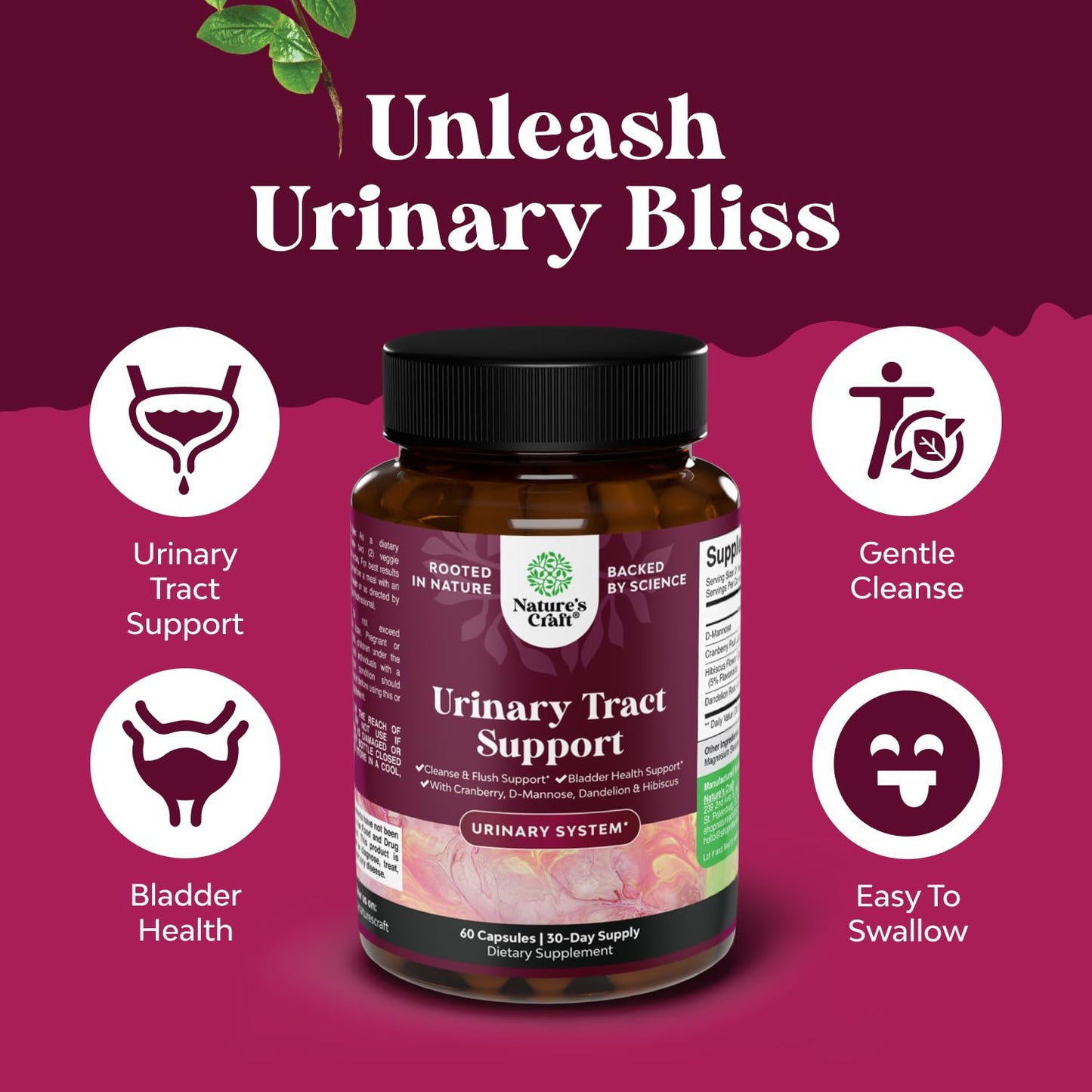 Natures Craft D Mannose Capsules for Urinary Tract Health - High Potency D-Mannose with Cranberry Juice Powder & Dandelion, for Women, 60 Capsules